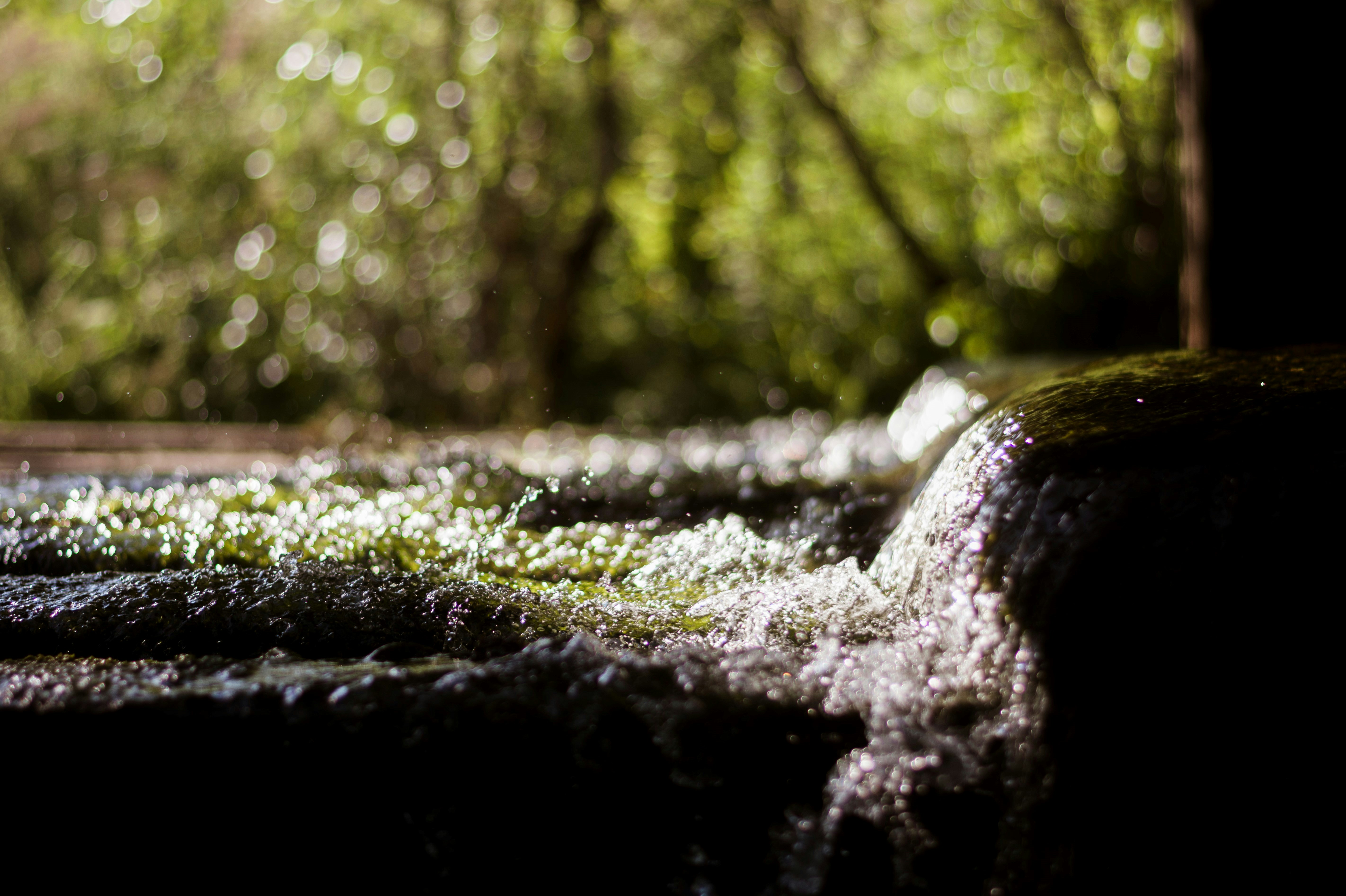 Photo by vadutskevich