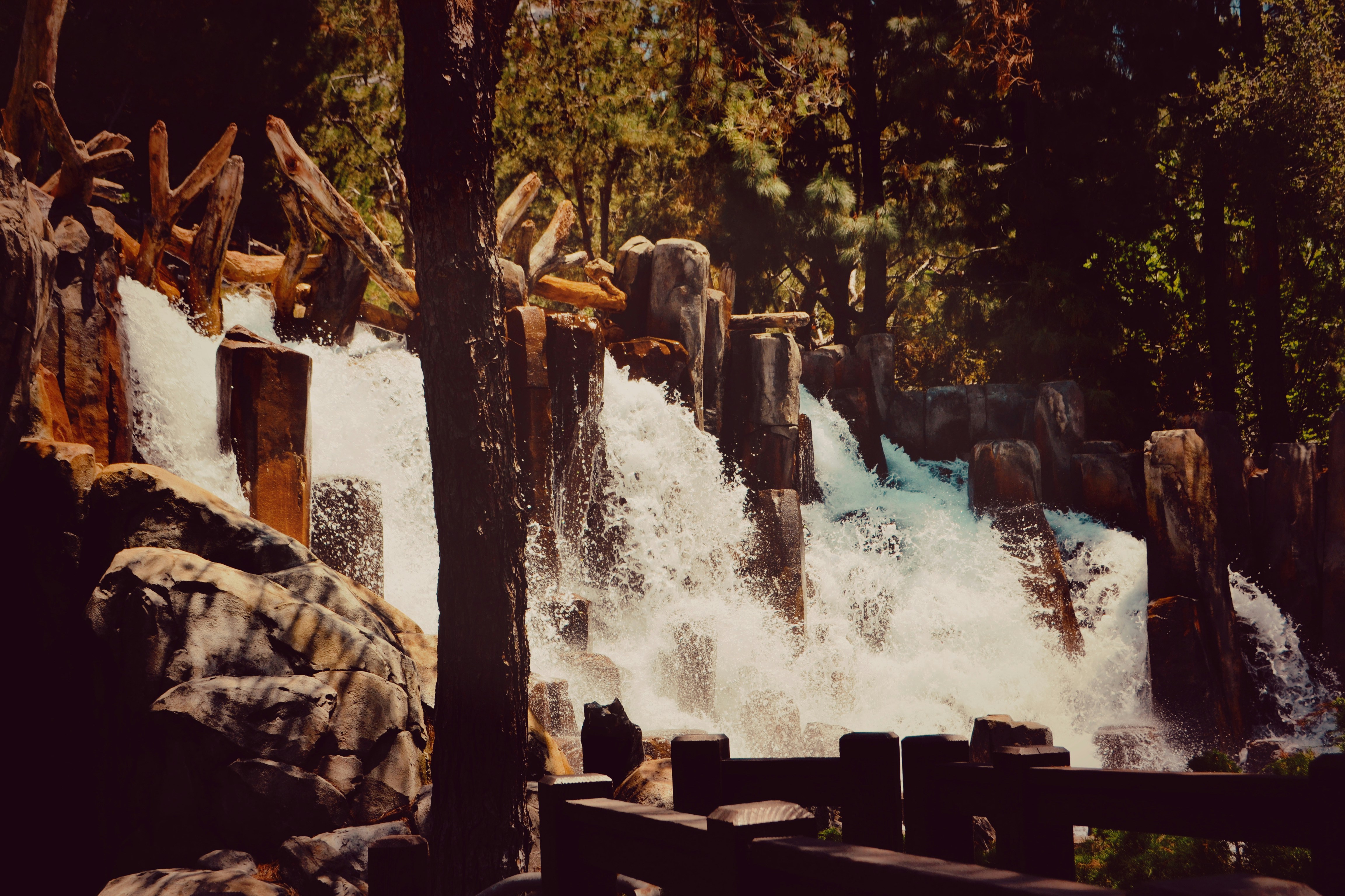 Disney California Adventure