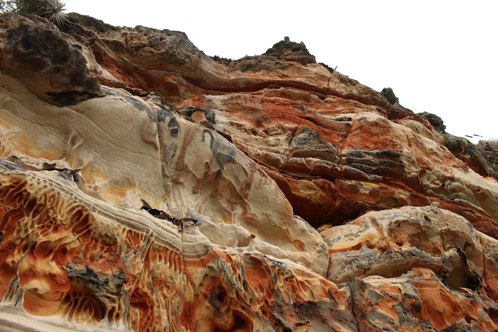 a rocky cliff with a tree