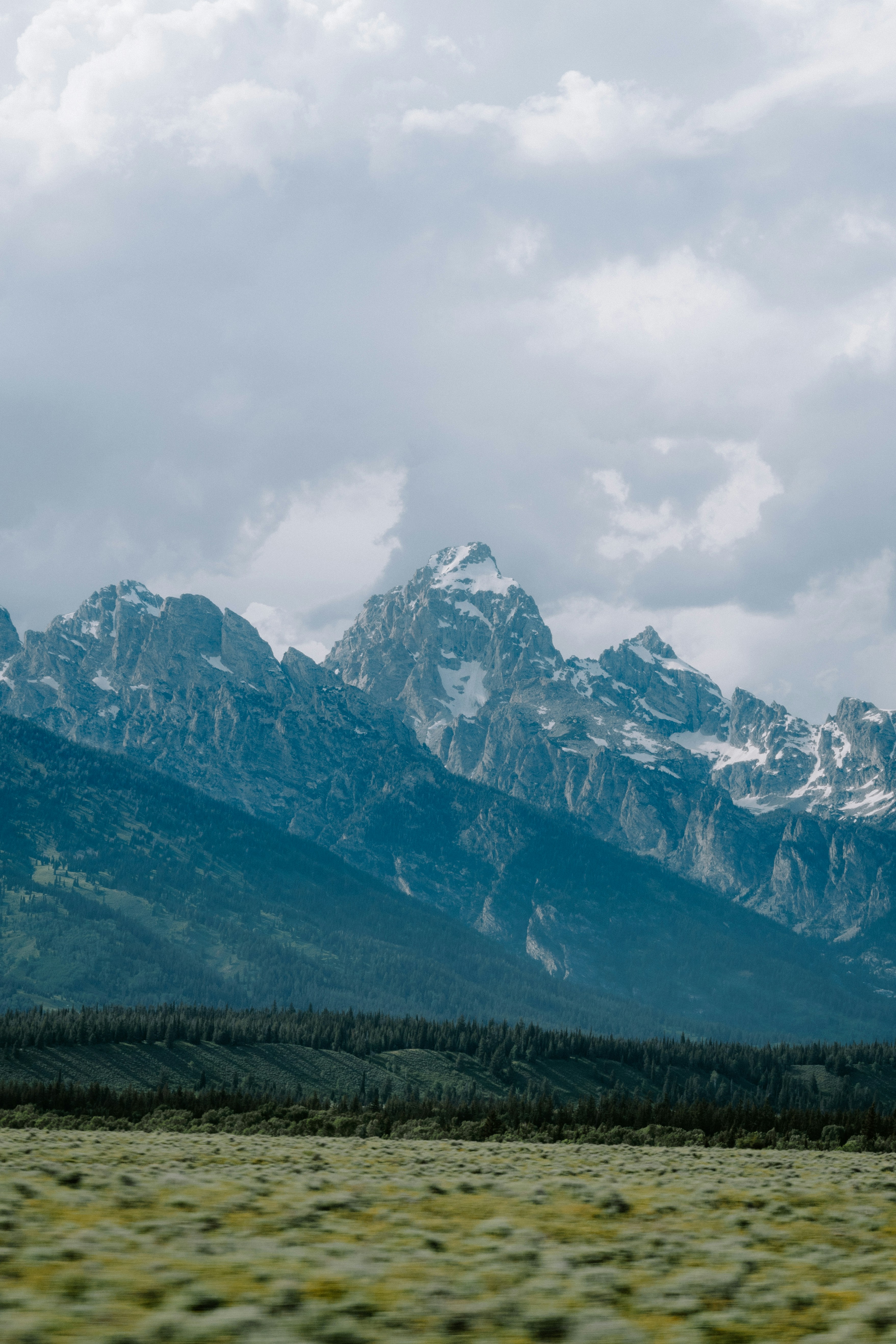 Photo by jaspergribble