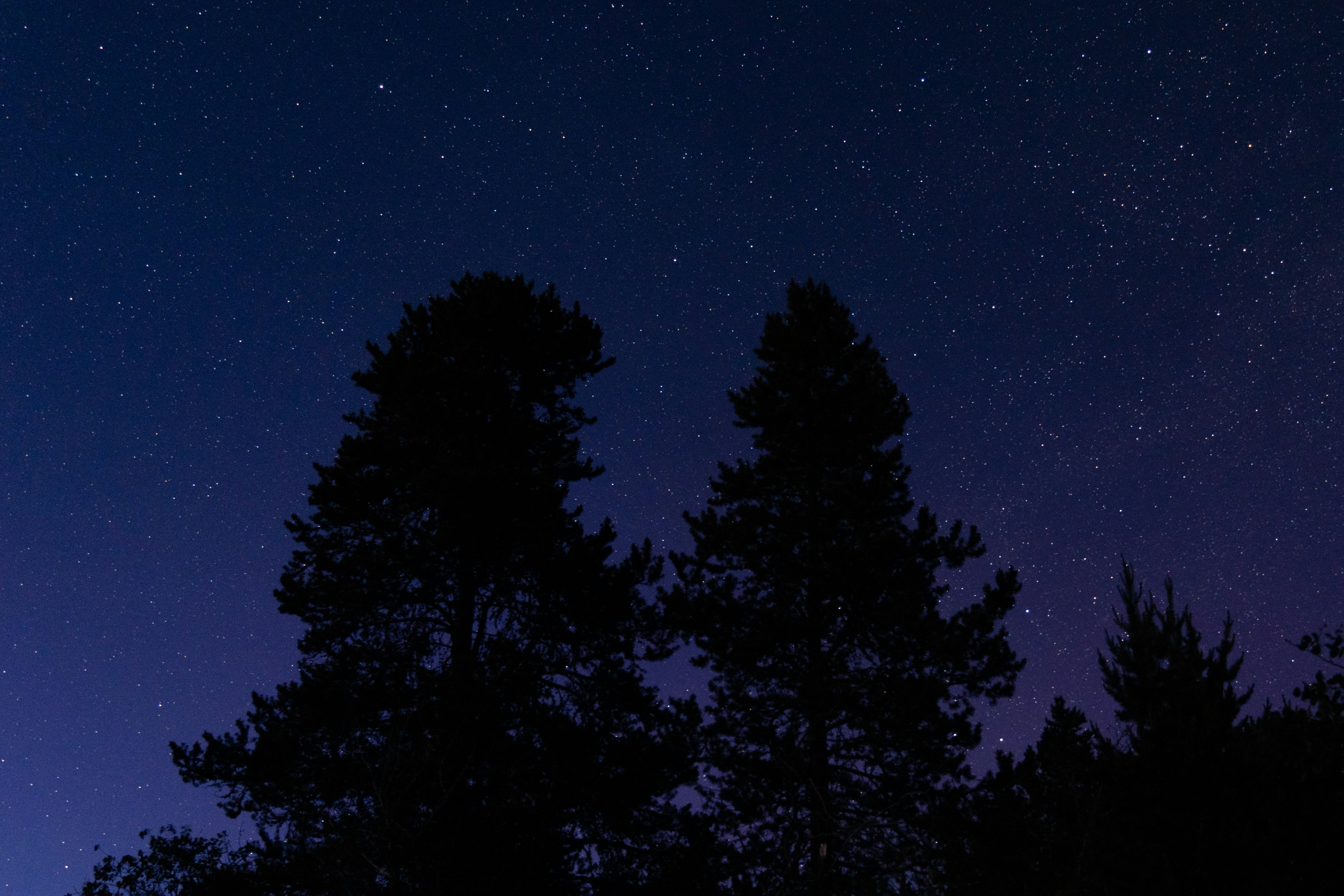 Photo by jaspergribble