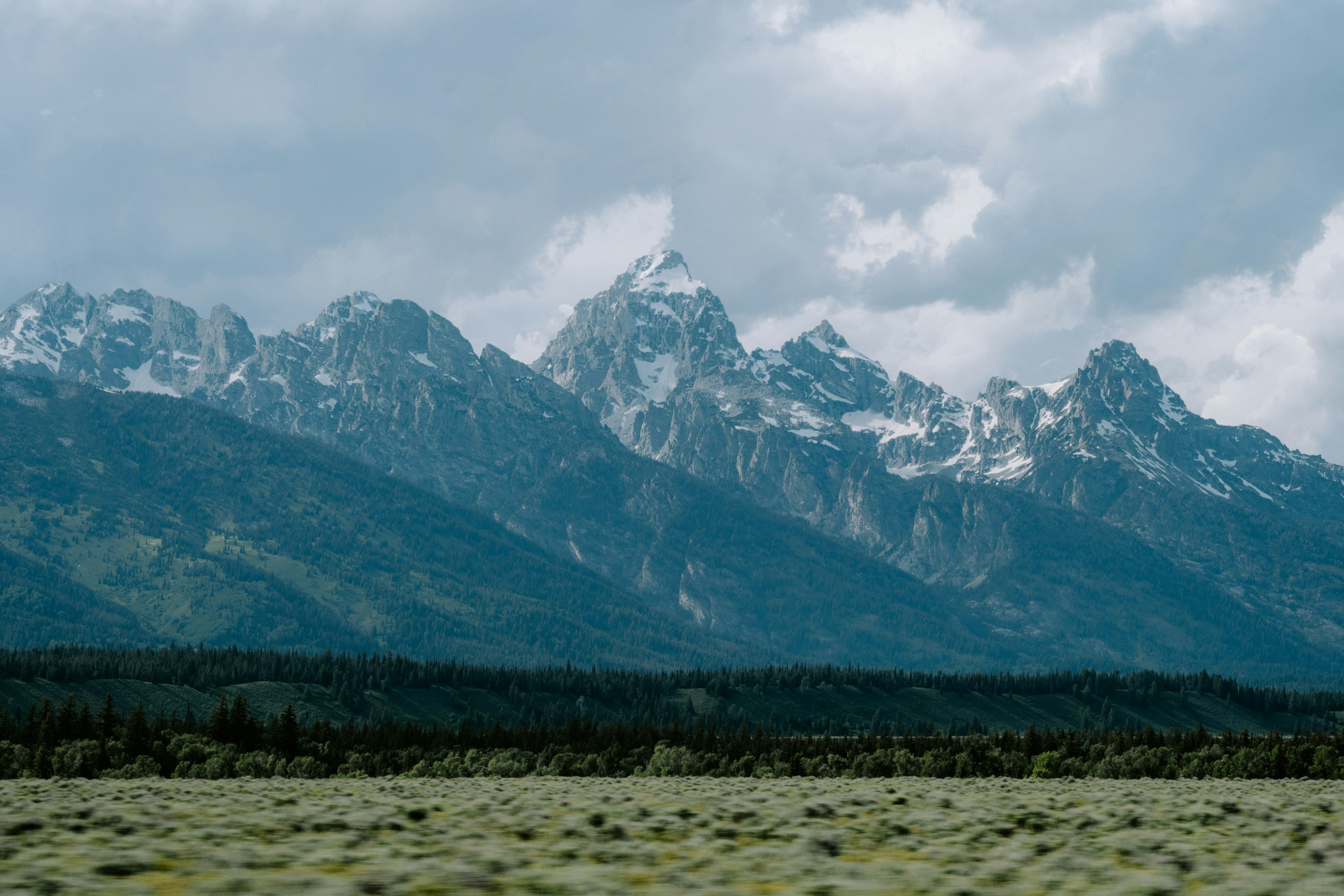 Photo by jaspergribble