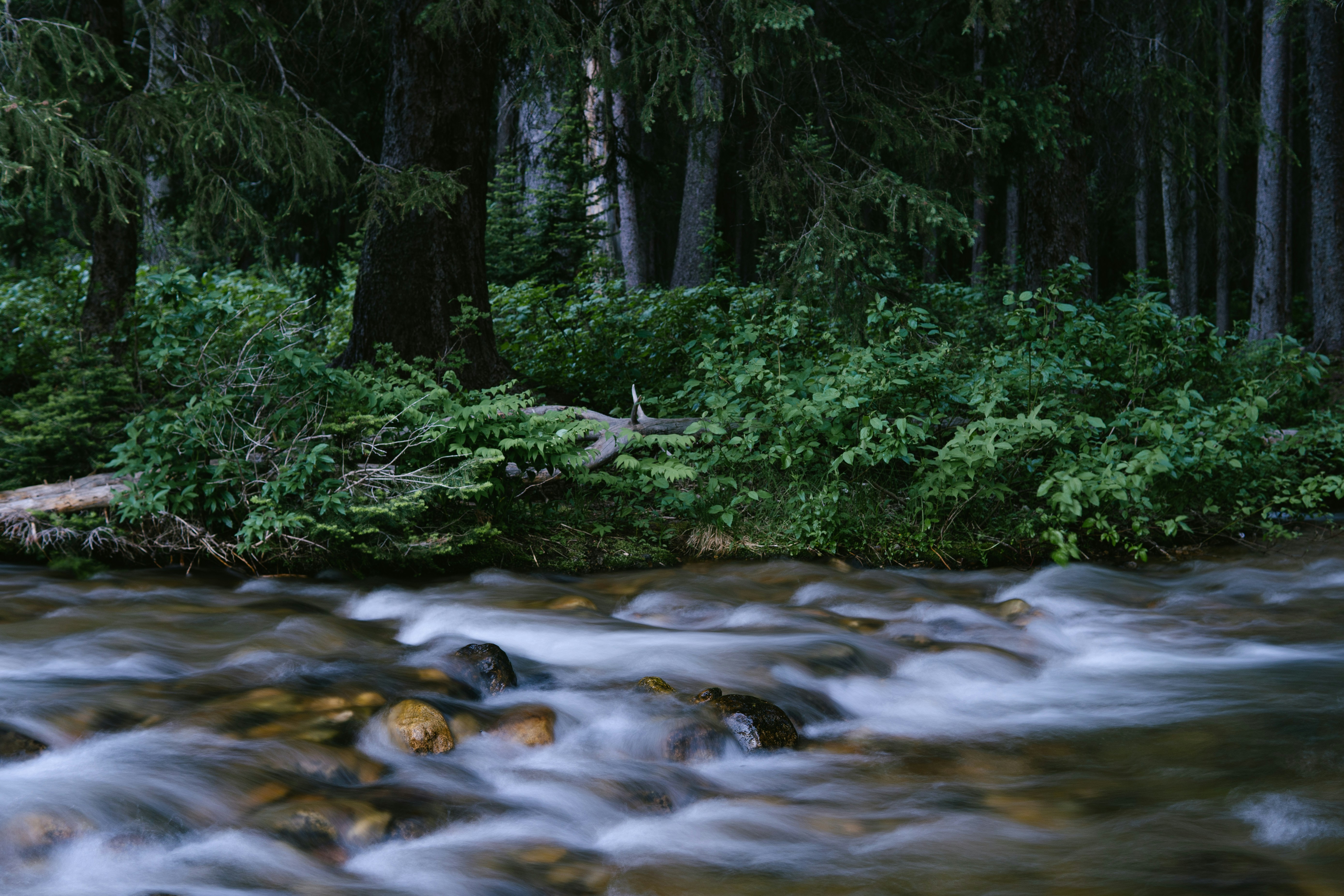 Photo by jaspergribble