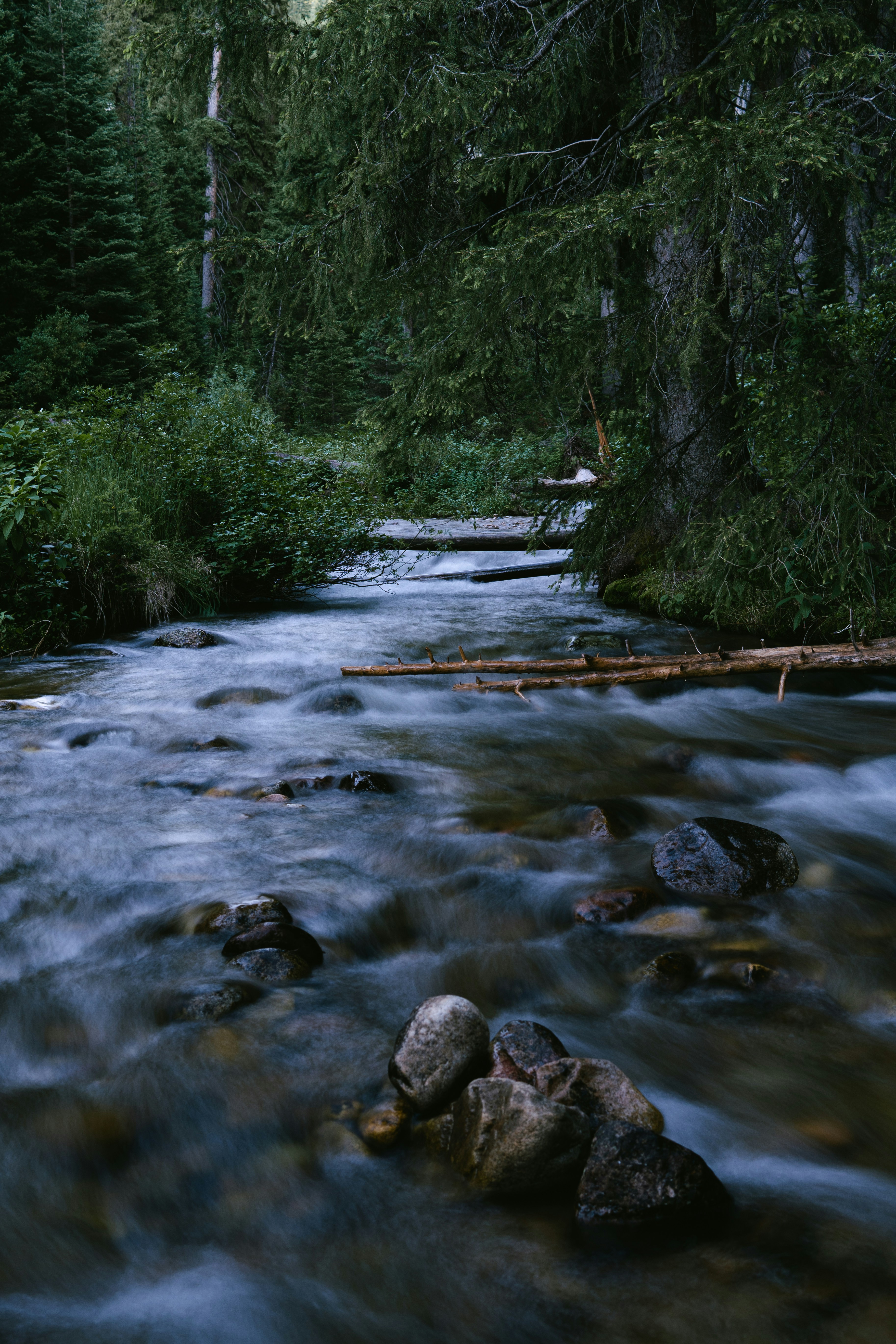 Photo by jaspergribble