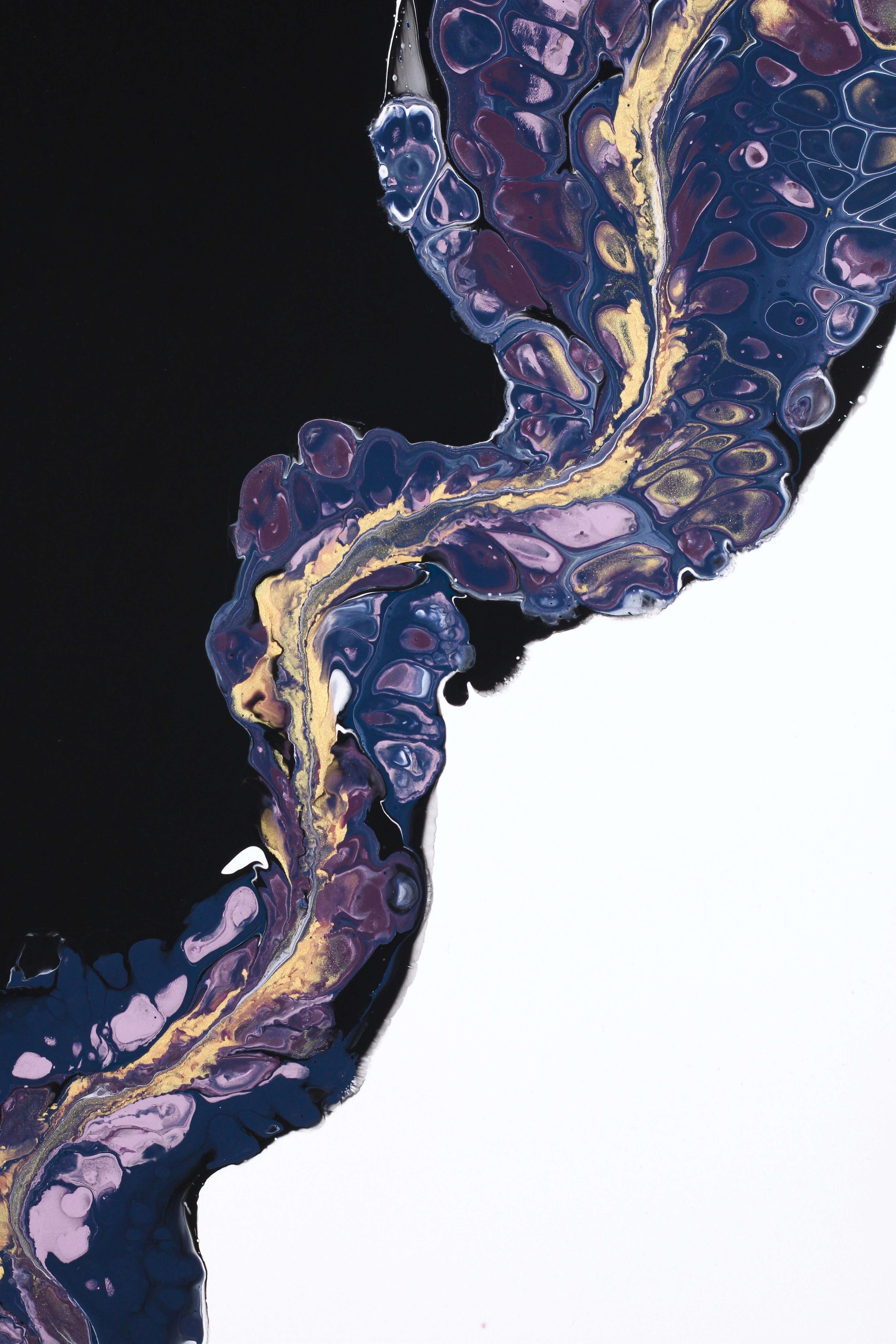 Photo by susan_wilkinson