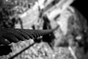A close-up view of a thick, twisted metal rope or cable stretching diagonally across the frame. The background is blurred, providing a sense of depth and highlighting the texture of the cable.