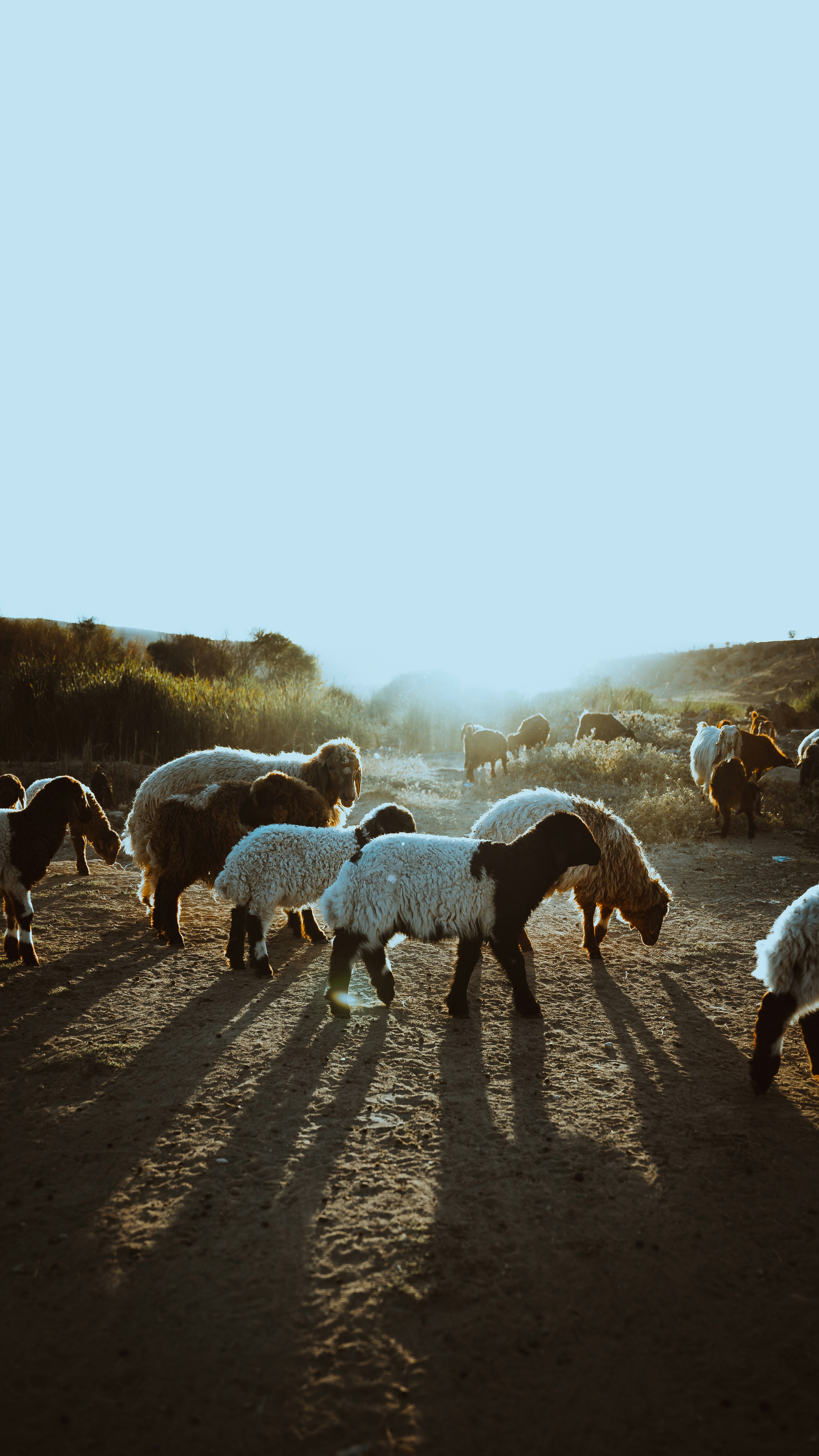 Photo by diyarshahbaz