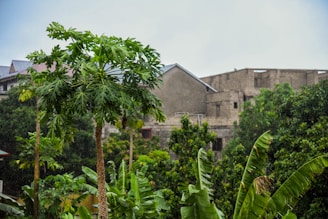 a stone building with a tower