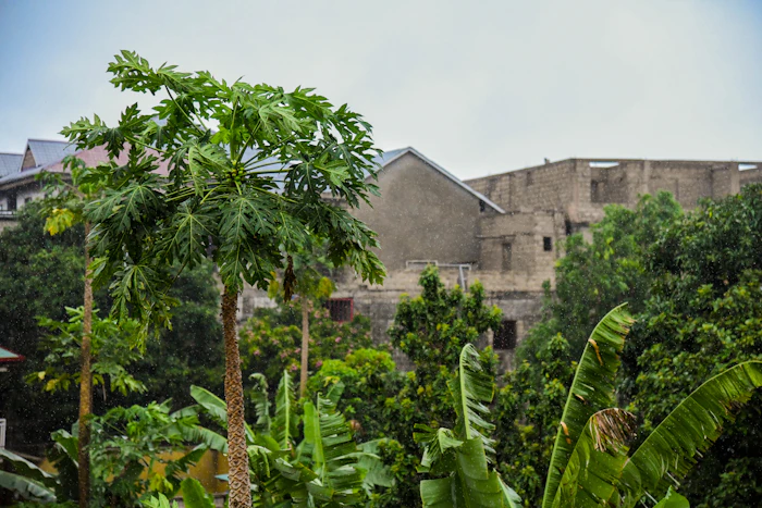 Bâtiment institutionnel à Kinshasa