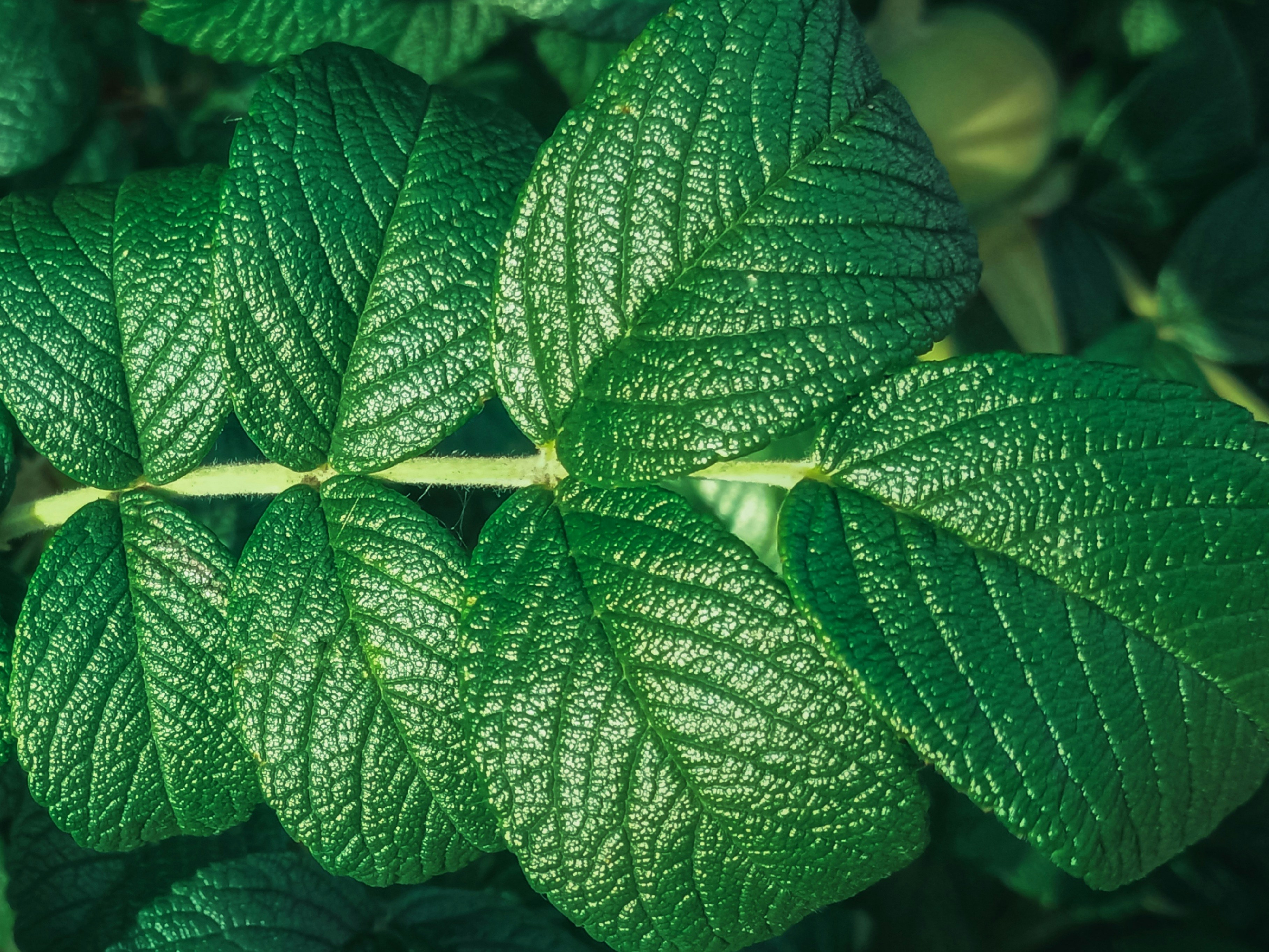 Photo by d21_gallery