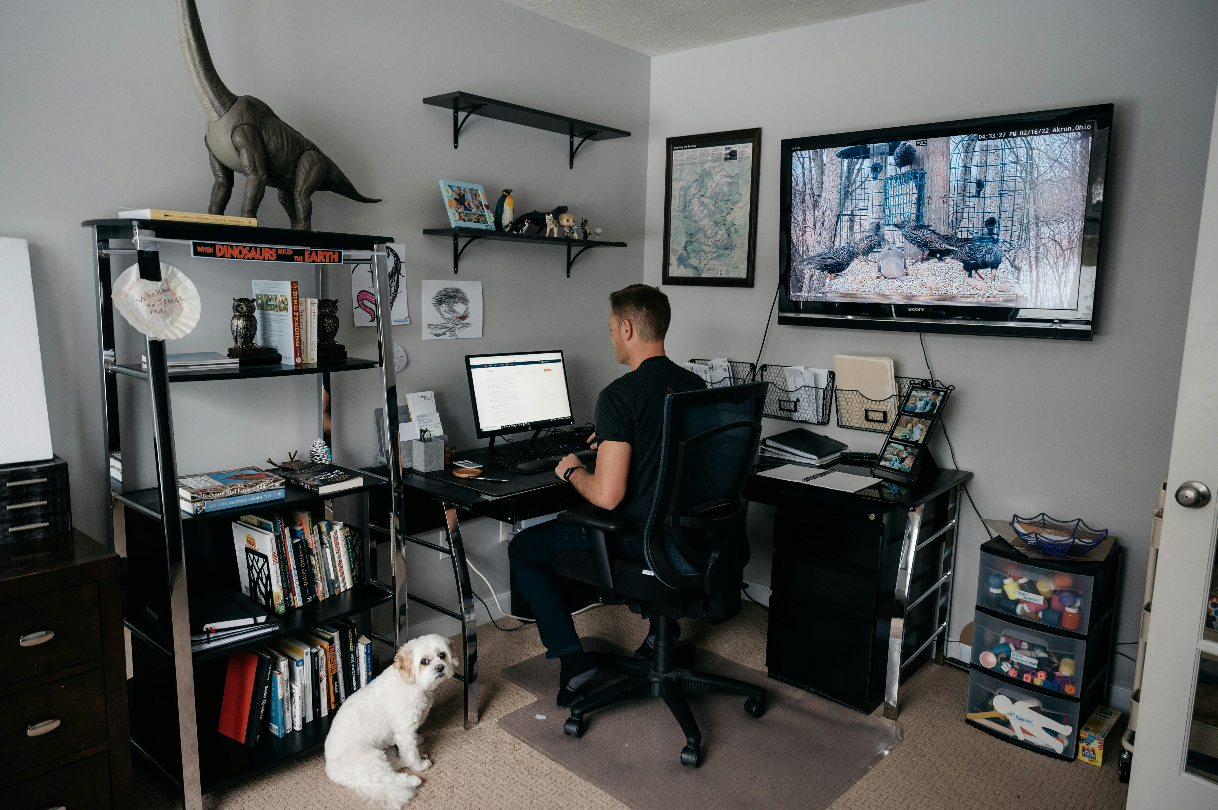 A person sitting at a computer with a dog