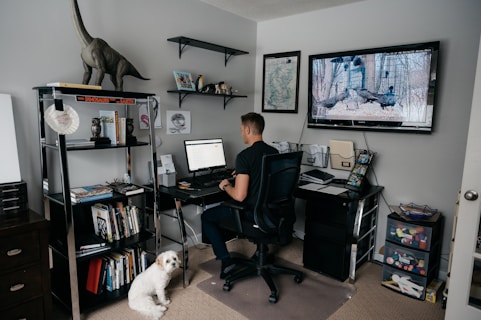 a person sitting at a computer in a room with a dog