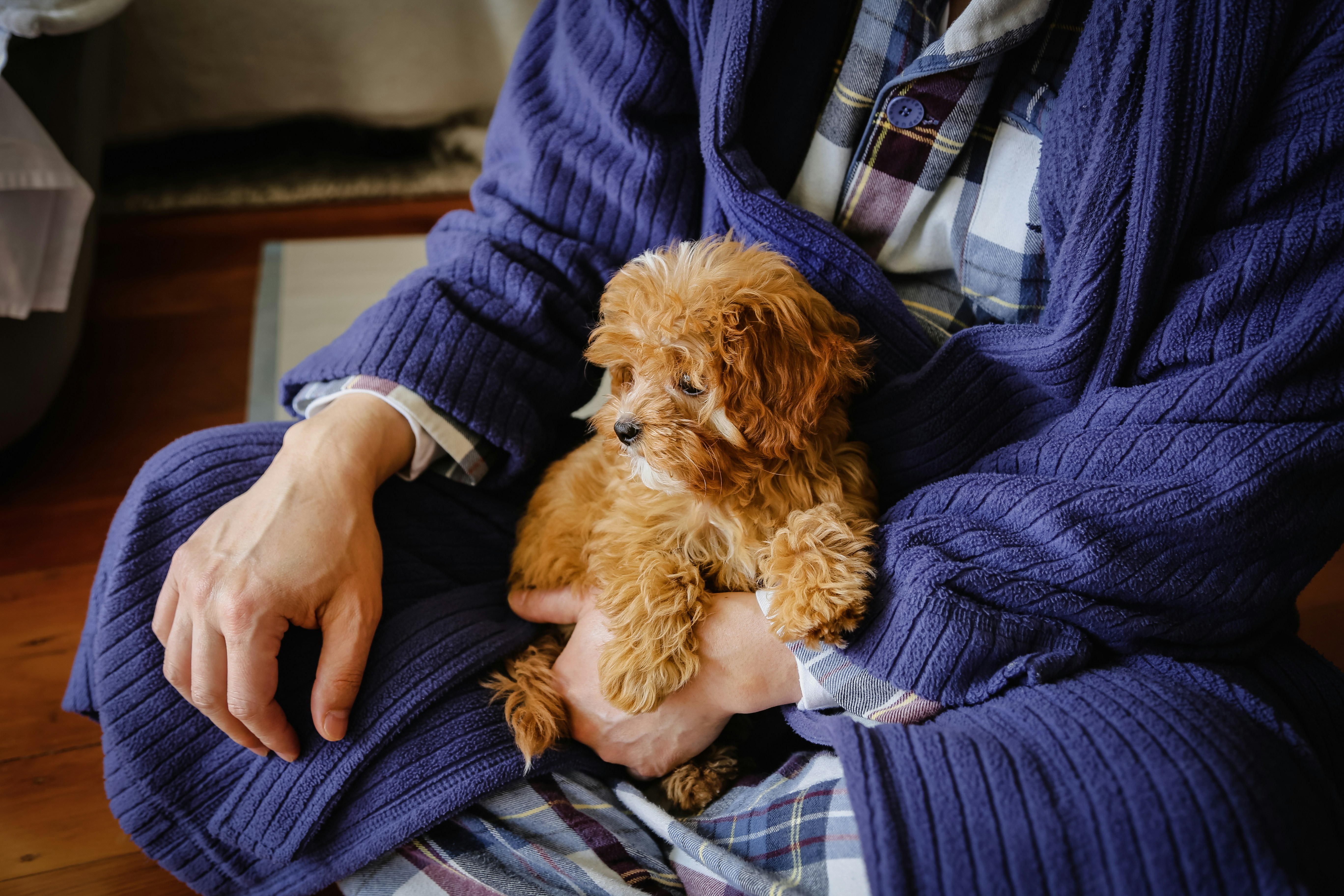 a person holding a dog