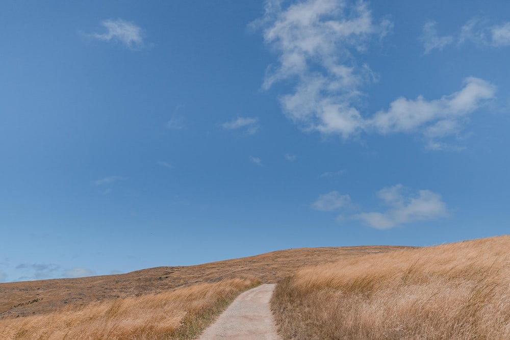 a dirt road in a field