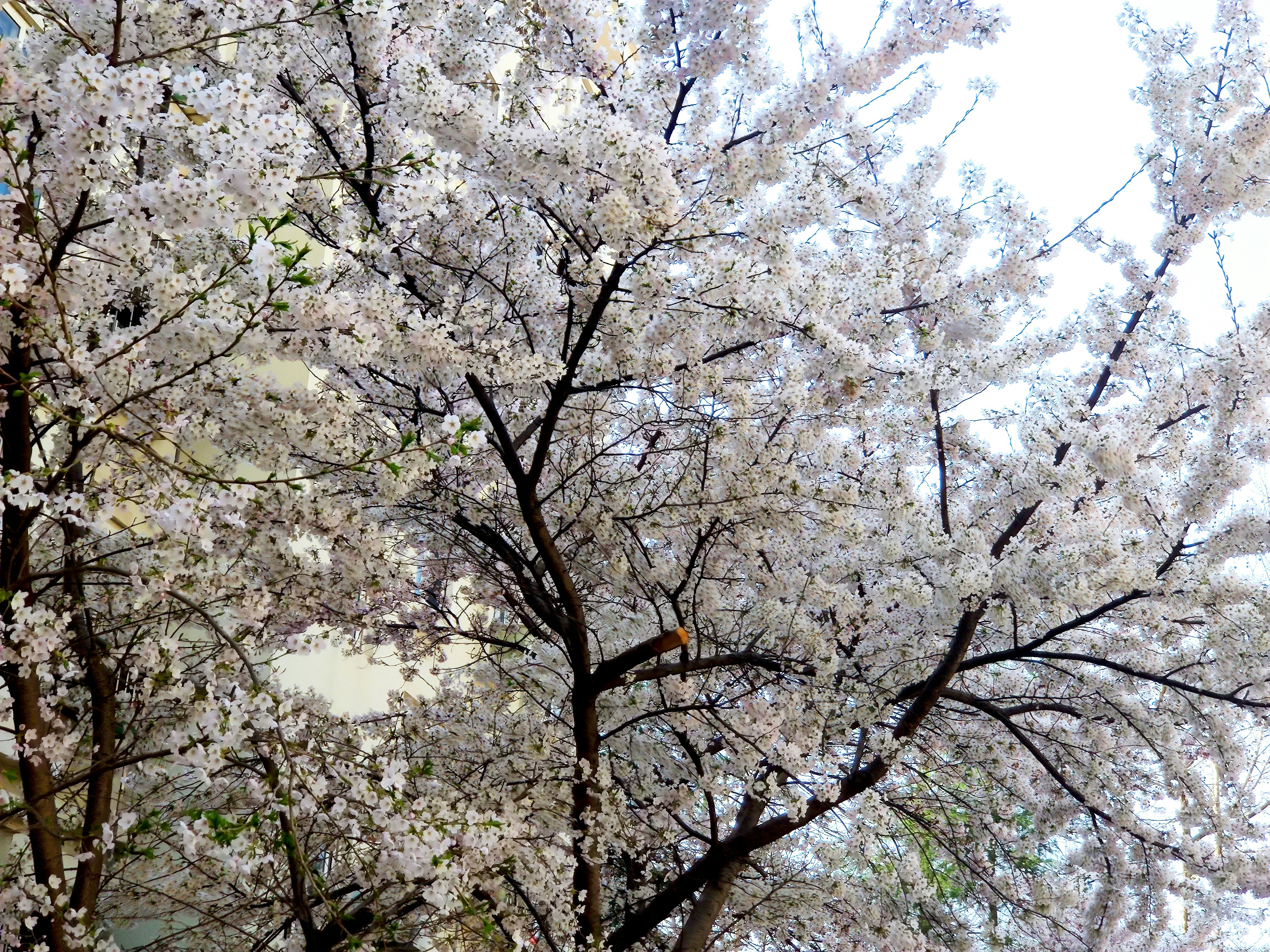 Photo by q3308496236