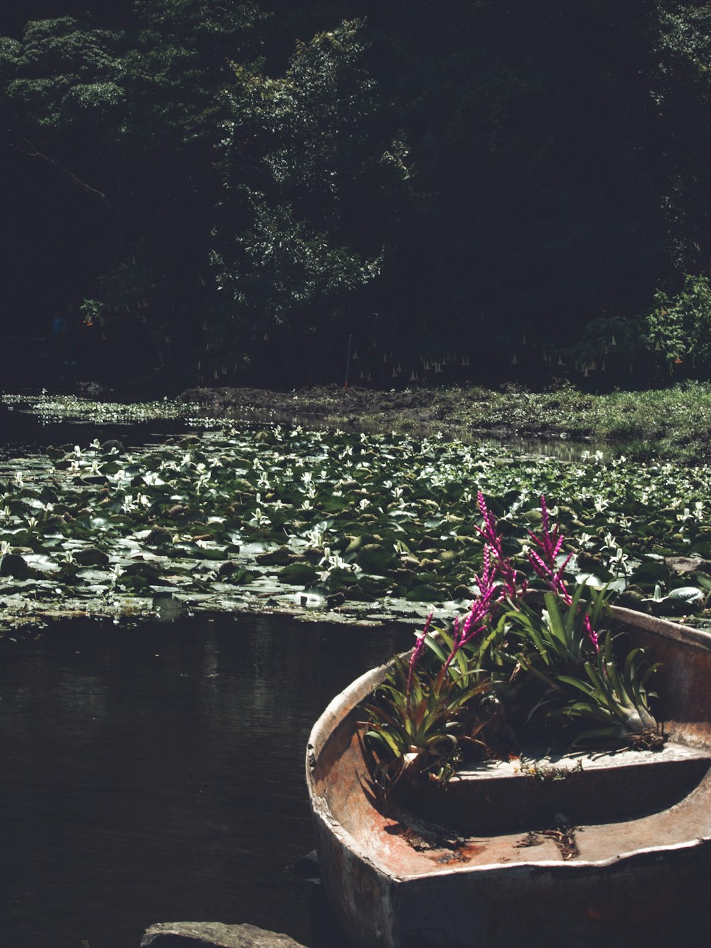 a planter with flowers in it by a body of water
