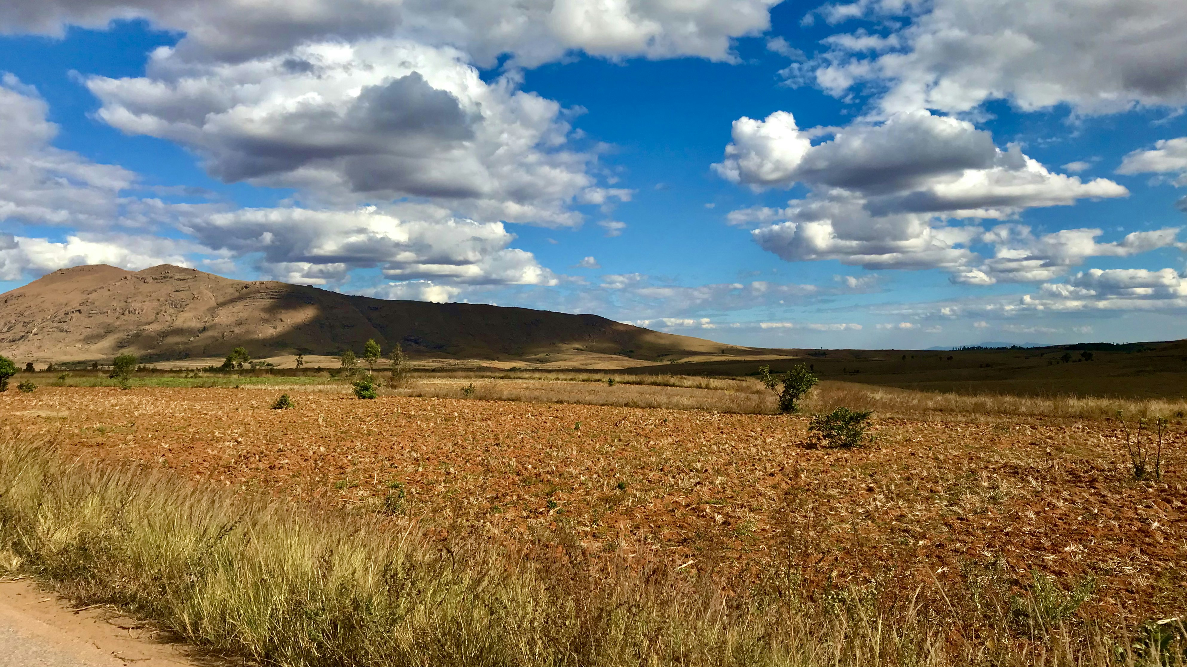 a field of grass and mountains