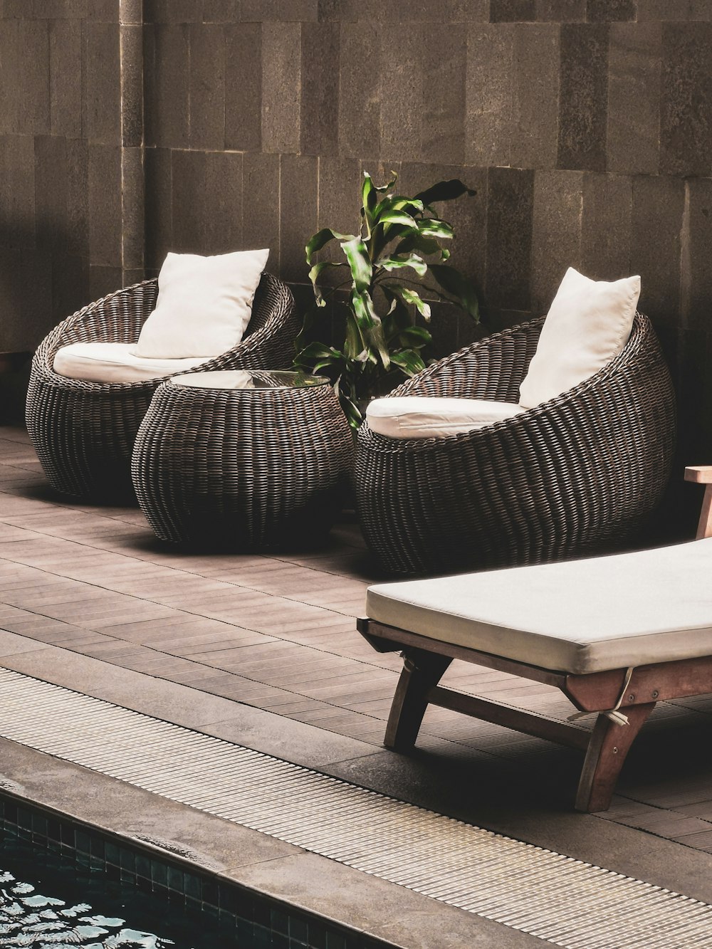 quelques chaises et une plante sur une terrasse