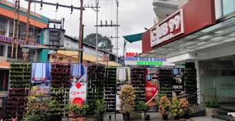 A storefront with the sign 'Club 99' in a modern commercial area. Vertical plant walls with various green and reddish plant pots are arranged at the entrance. Above, there are electrical transformers and cables. Surrounding buildings include shops with colorful signs, including one for 'Ghala Gold & Diamond'. The setting is urban, with overcast skies suggesting a cool or rainy atmosphere.