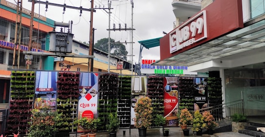A storefront with the sign 'Club 99' in a modern commercial area. Vertical plant walls with various green and reddish plant pots are arranged at the entrance. Above, there are electrical transformers and cables. Surrounding buildings include shops with colorful signs, including one for 'Ghala Gold & Diamond'. The setting is urban, with overcast skies suggesting a cool or rainy atmosphere.
