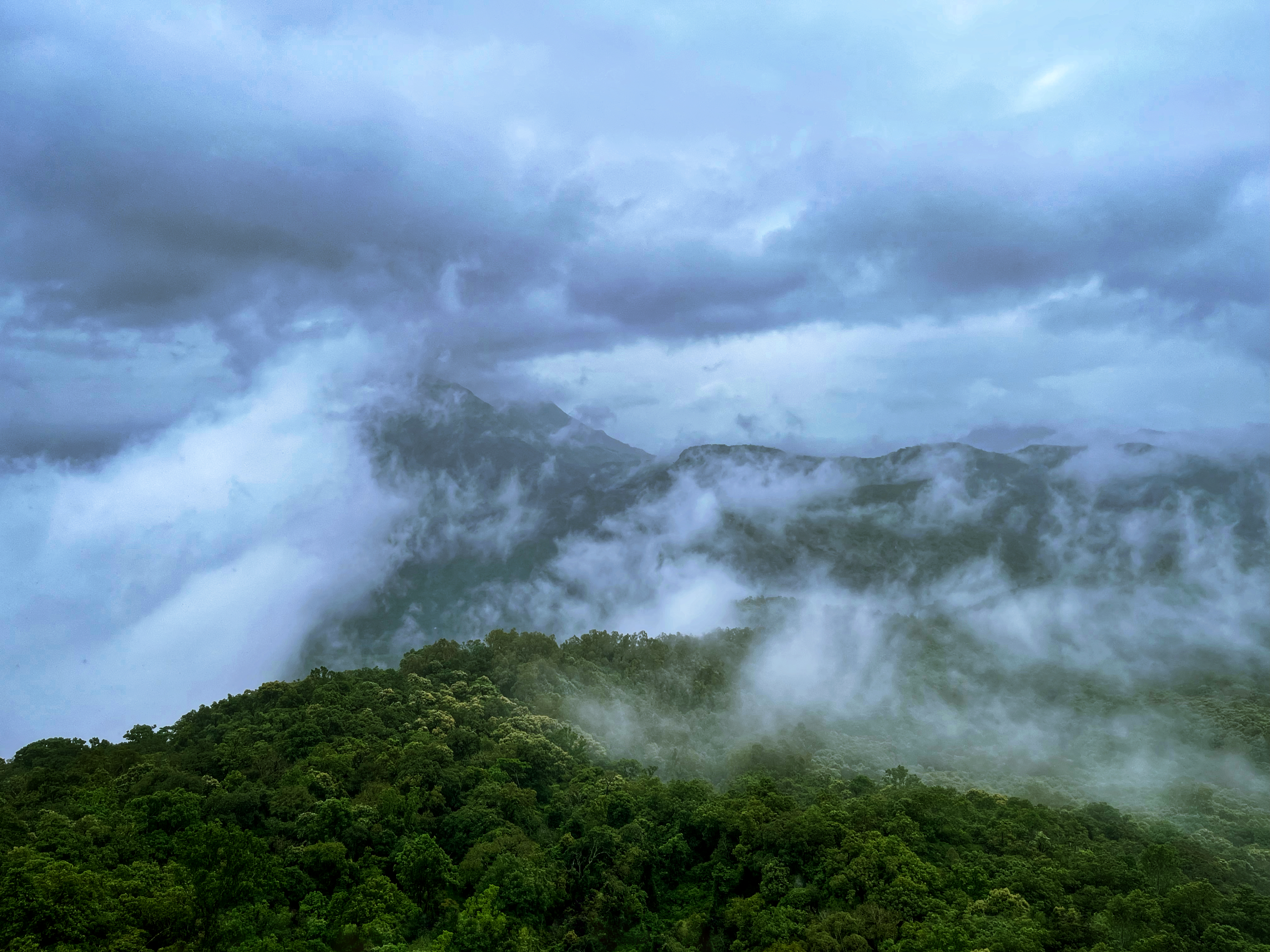 Photo by kirankalpathy