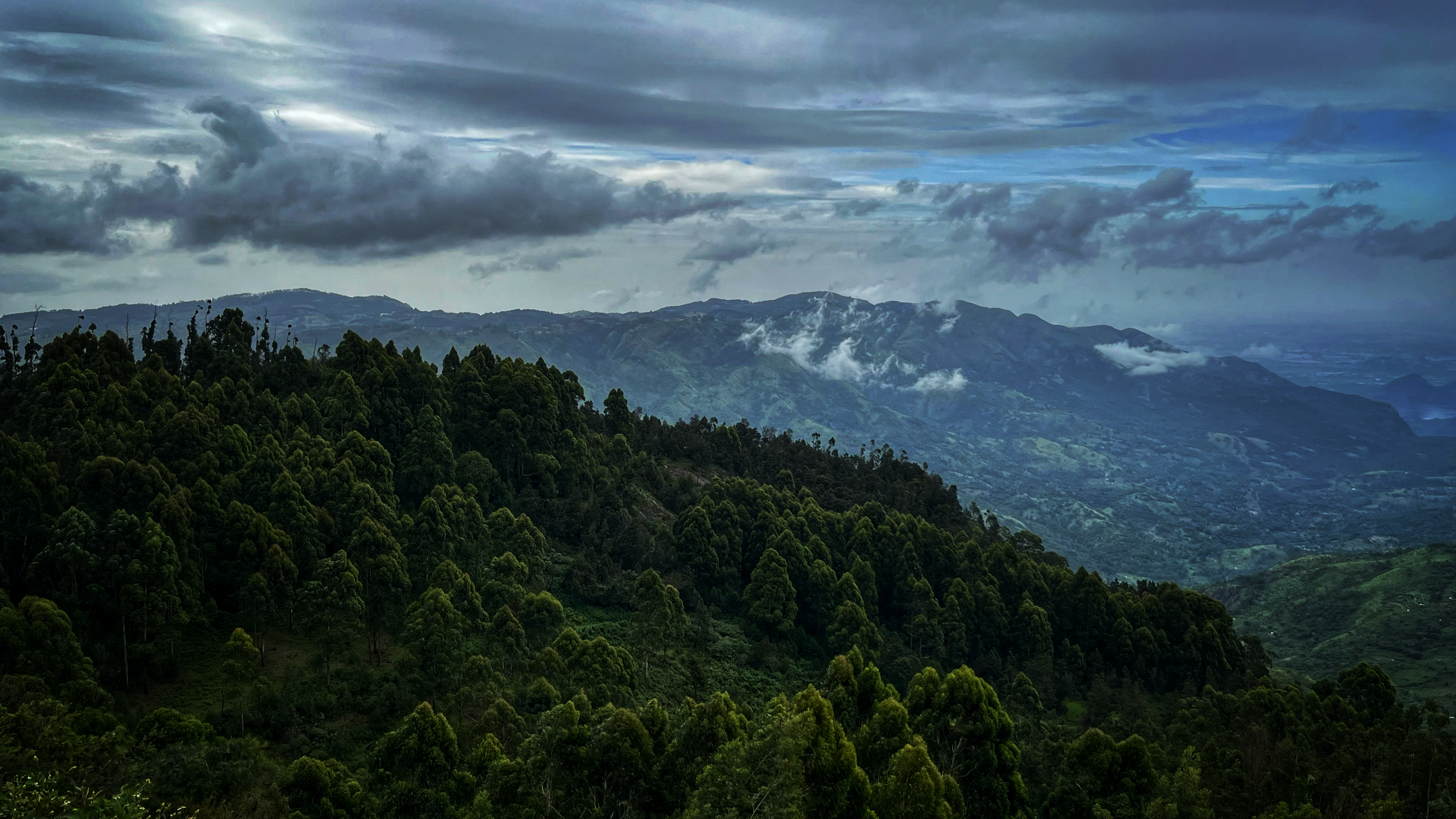 Photo by kirankalpathy