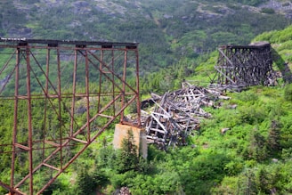 a bridge over a forest. It is used to describe a bond. 