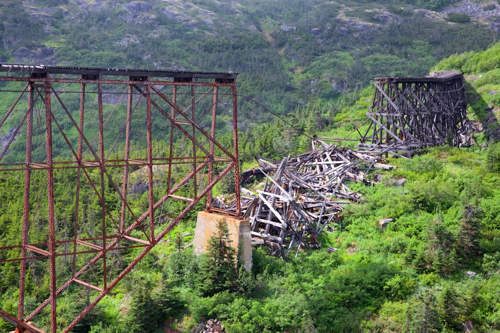 a bridge over a forest