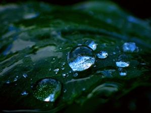 a close up of water drops