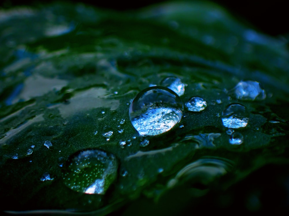 a close up of water drops