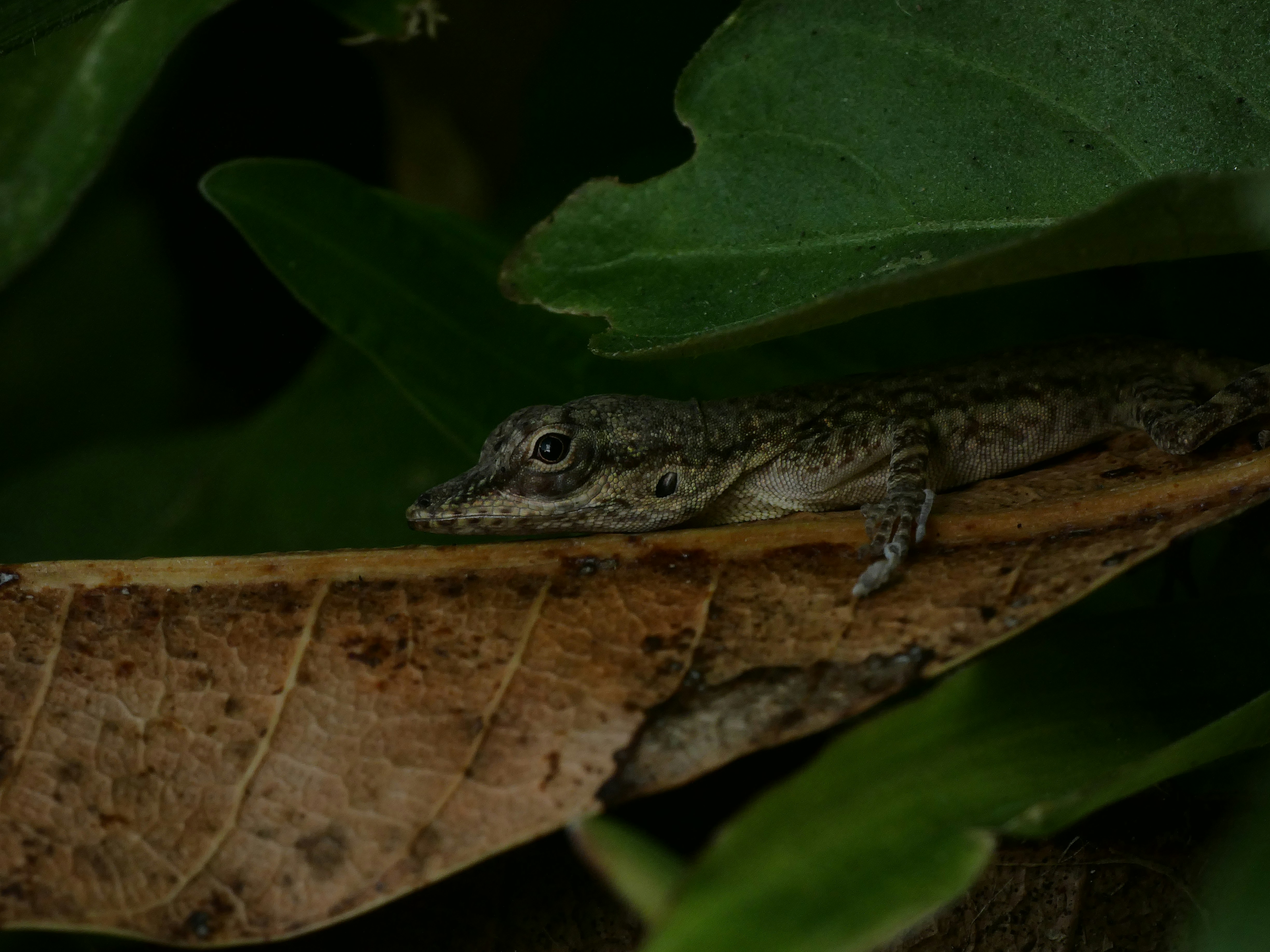 Photo by aastikmaurya