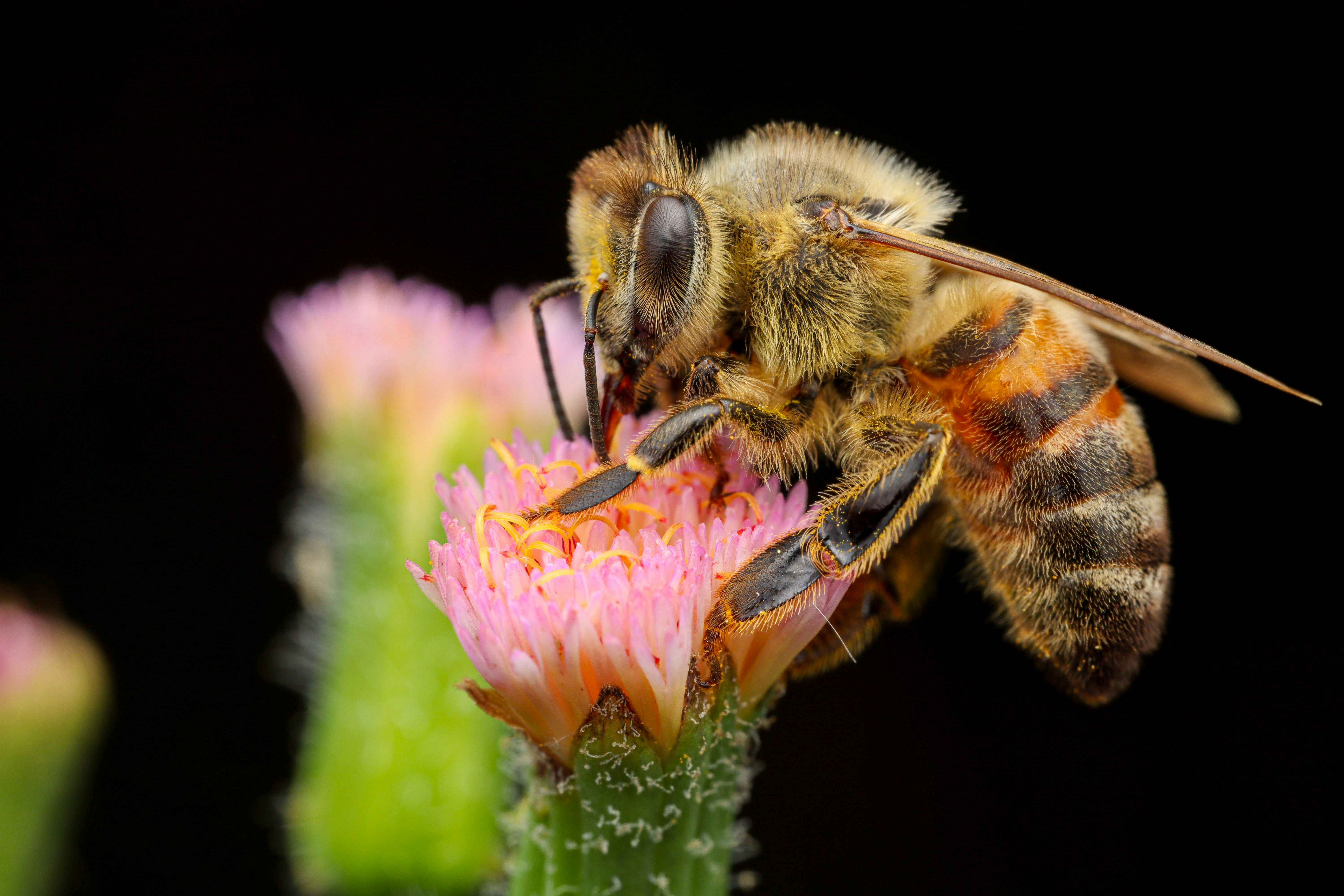 Photo by aastikmaurya