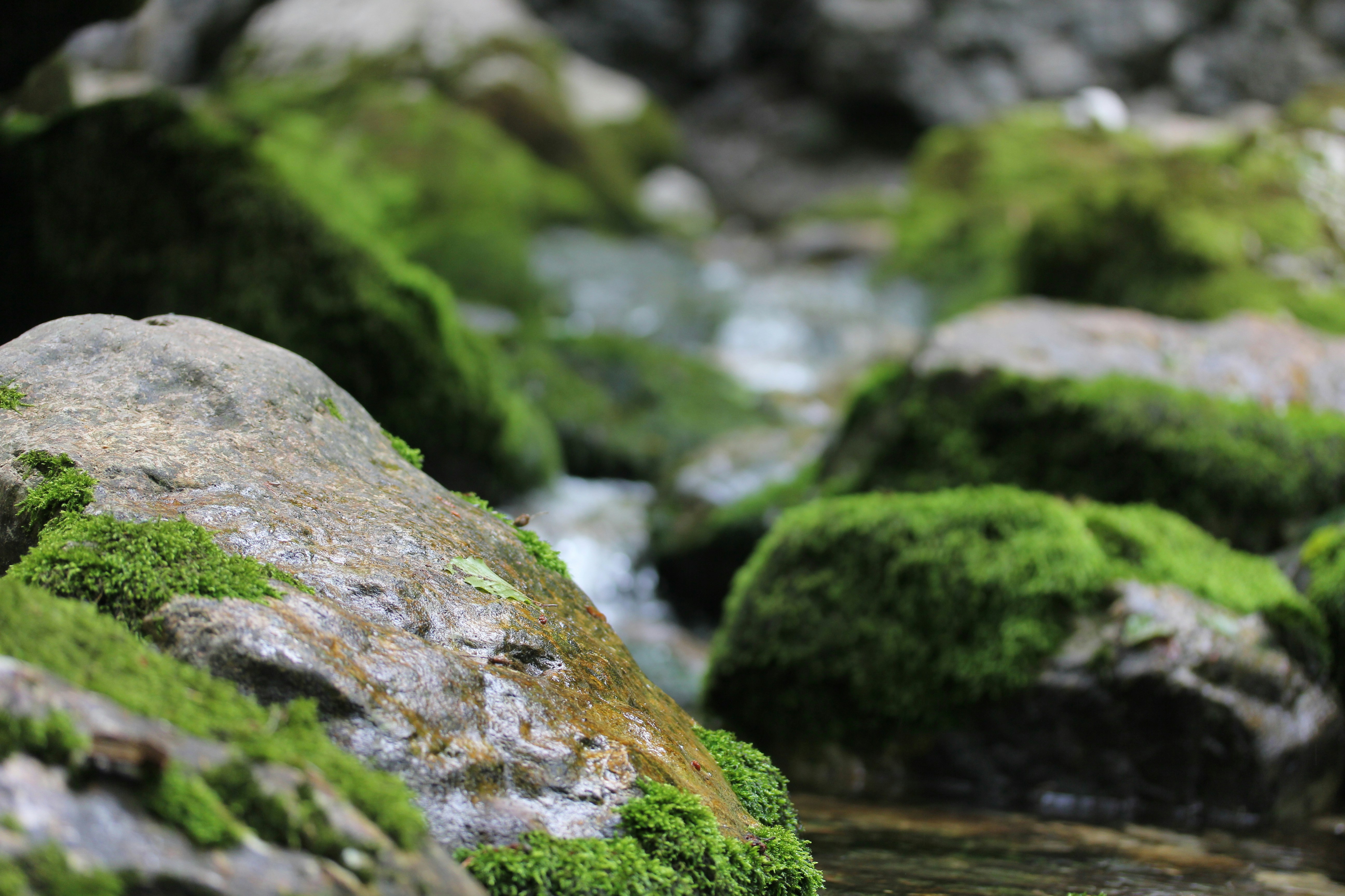 The Art of Not Doing