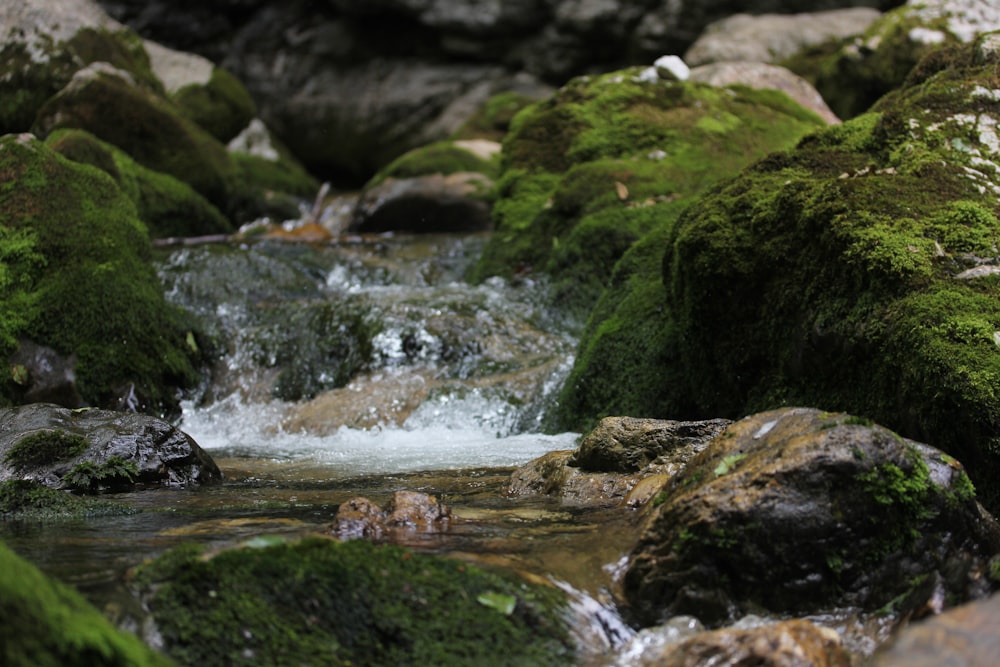 a stream of water flowing through rocks