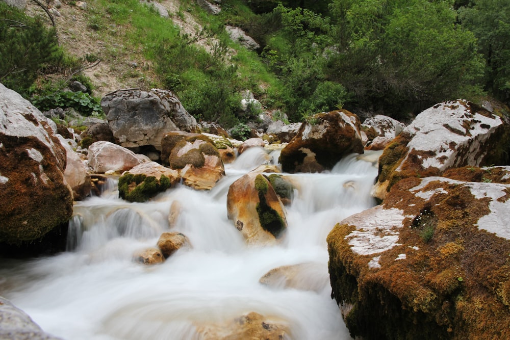 a river with rocks and trees