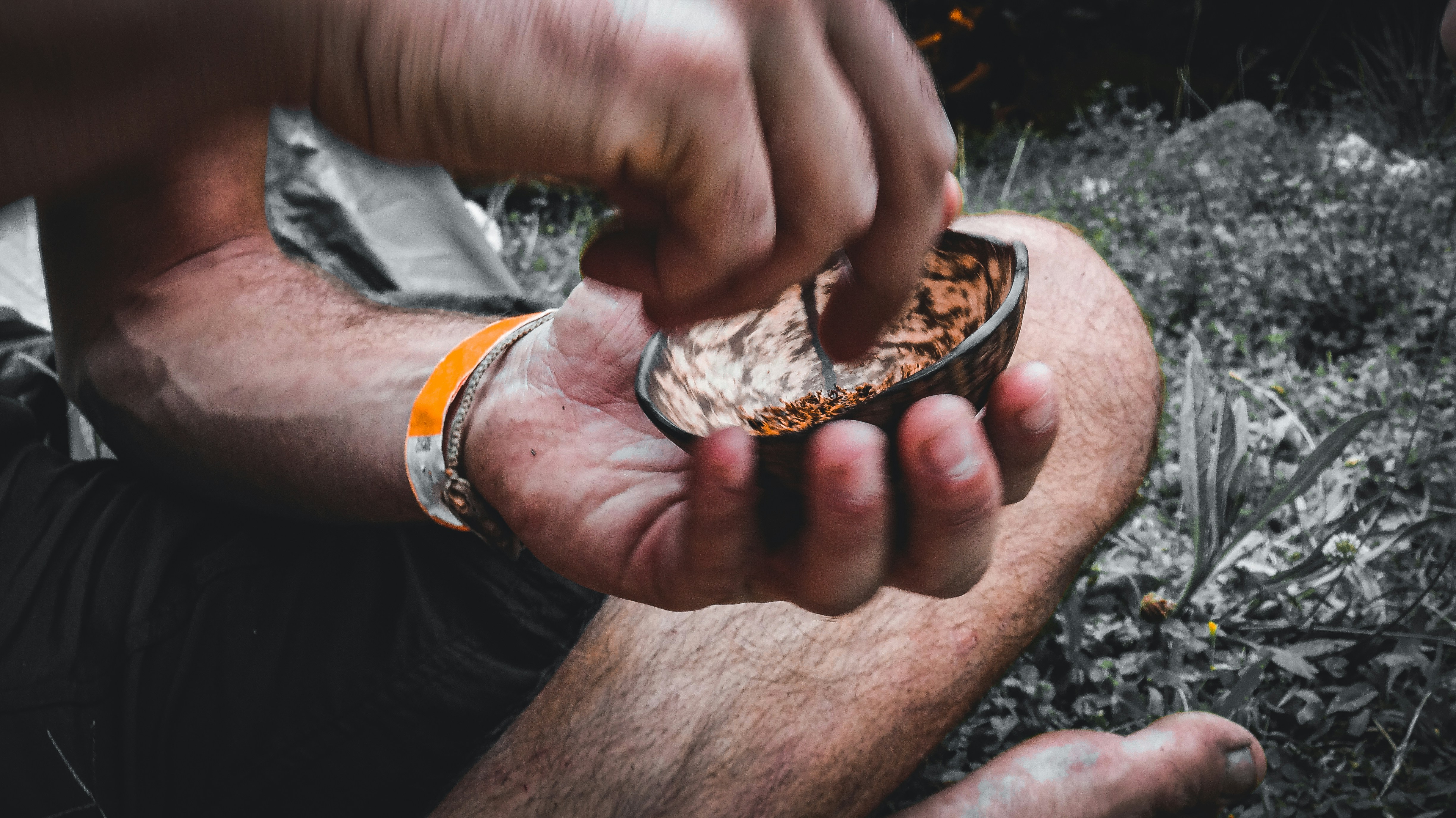 a man holding a small turtle
