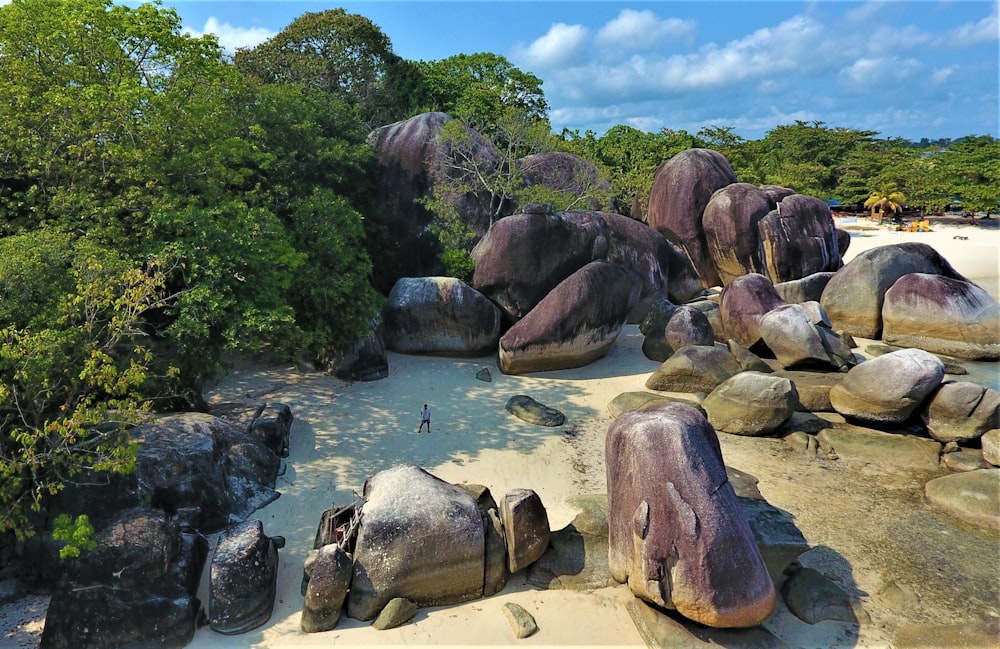 a group of rocks in a pond