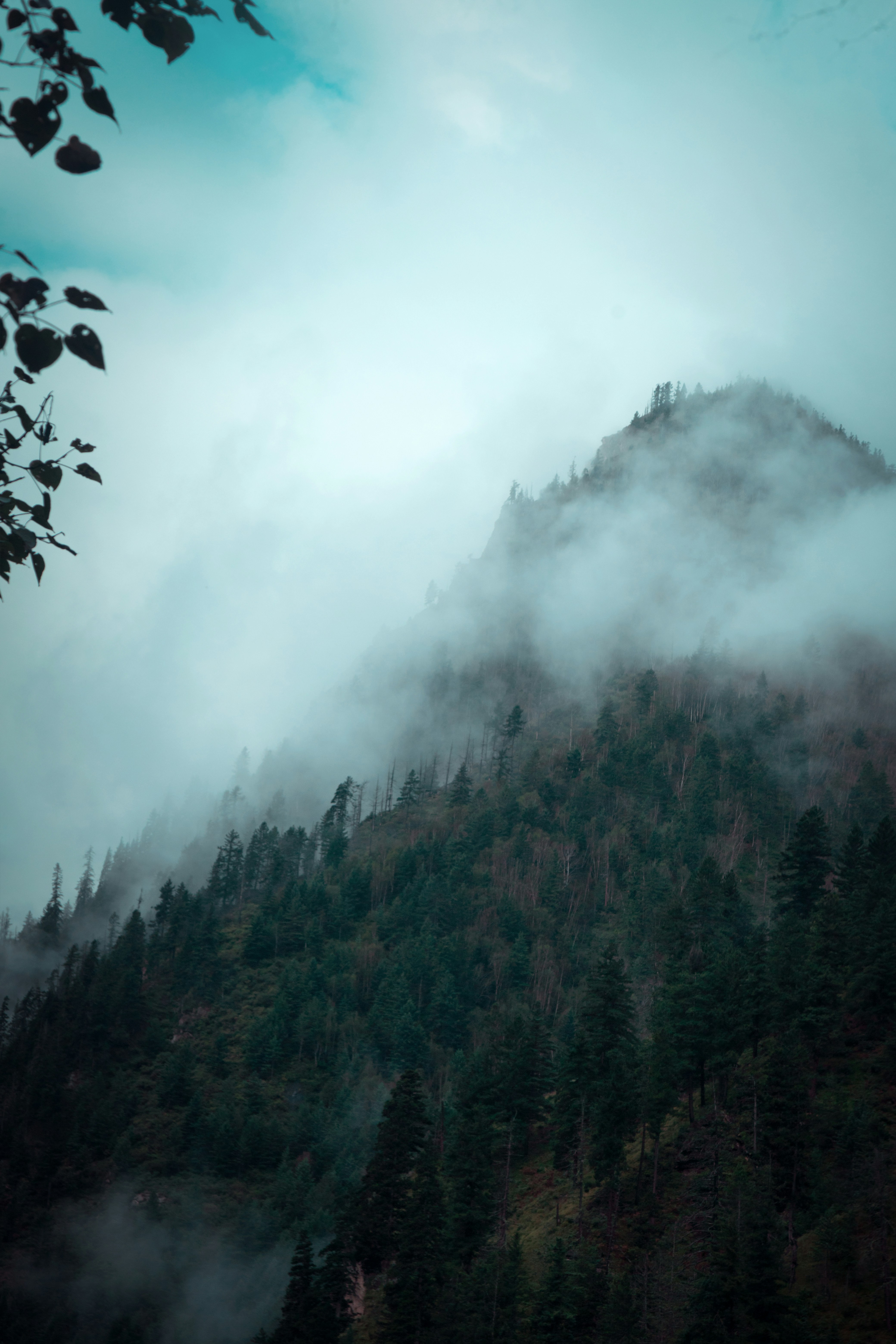 Photo by ashokjkshetri