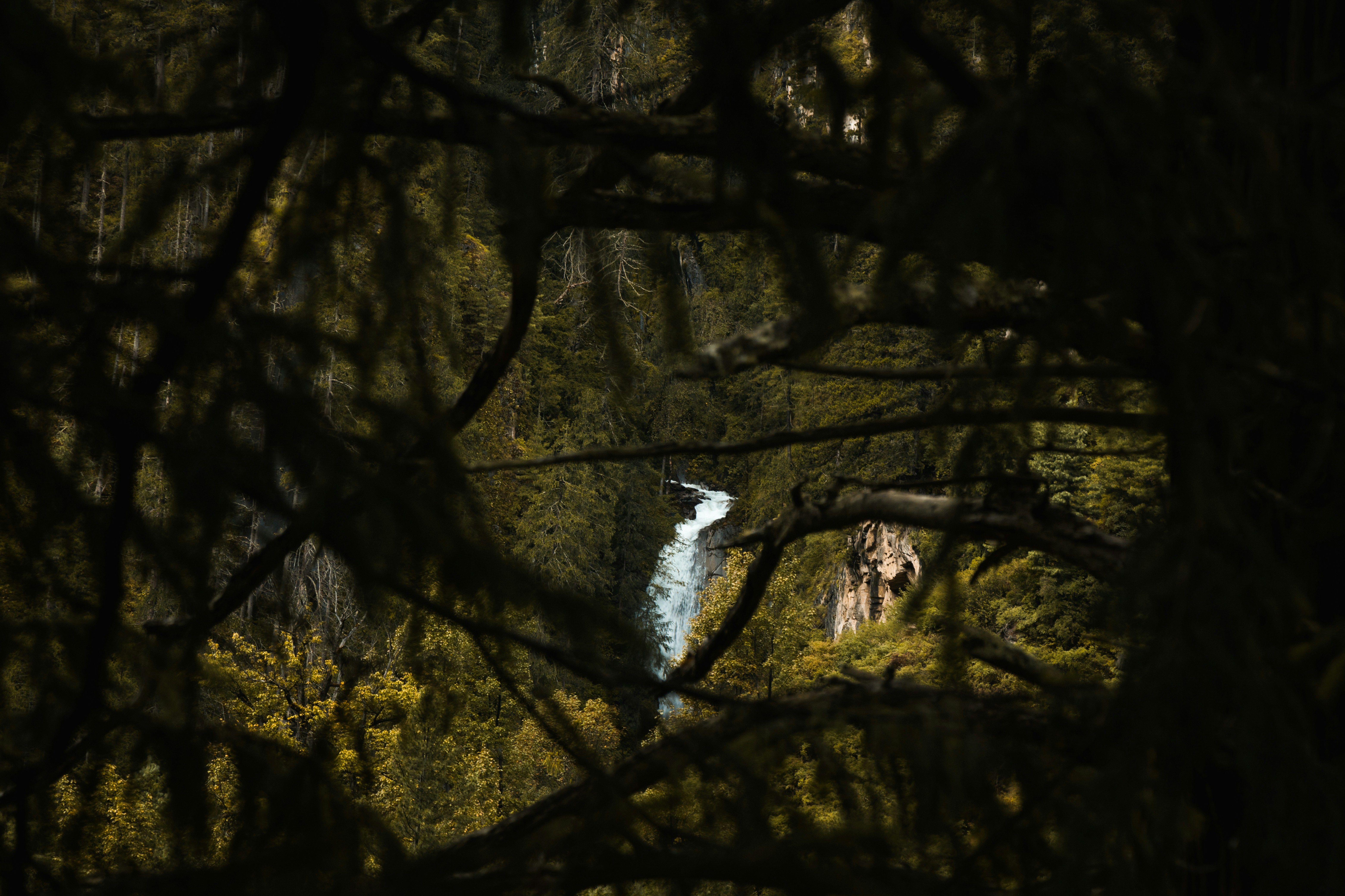 Photo by ashokjkshetri
