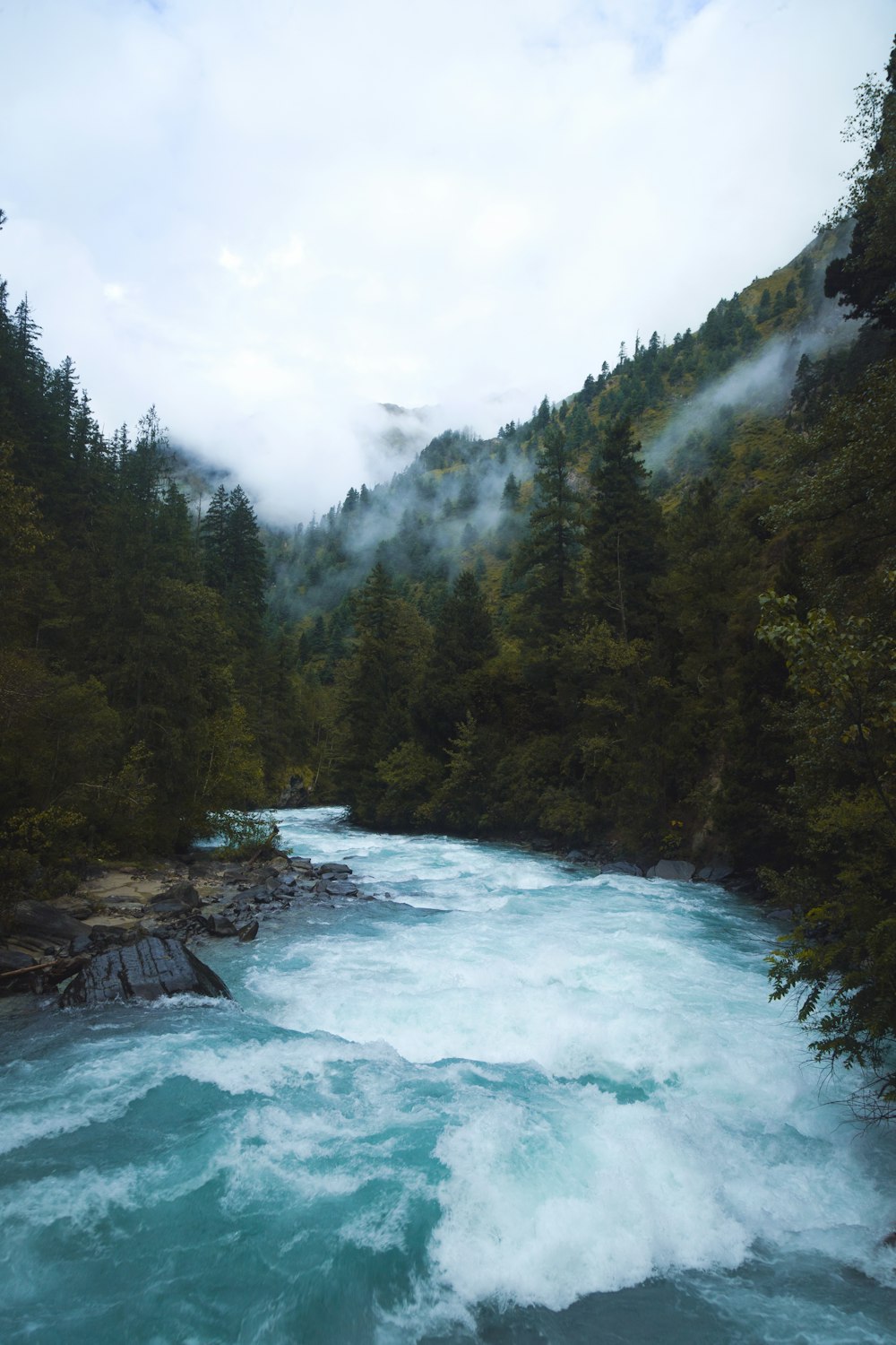 a river with a waterfall and trees