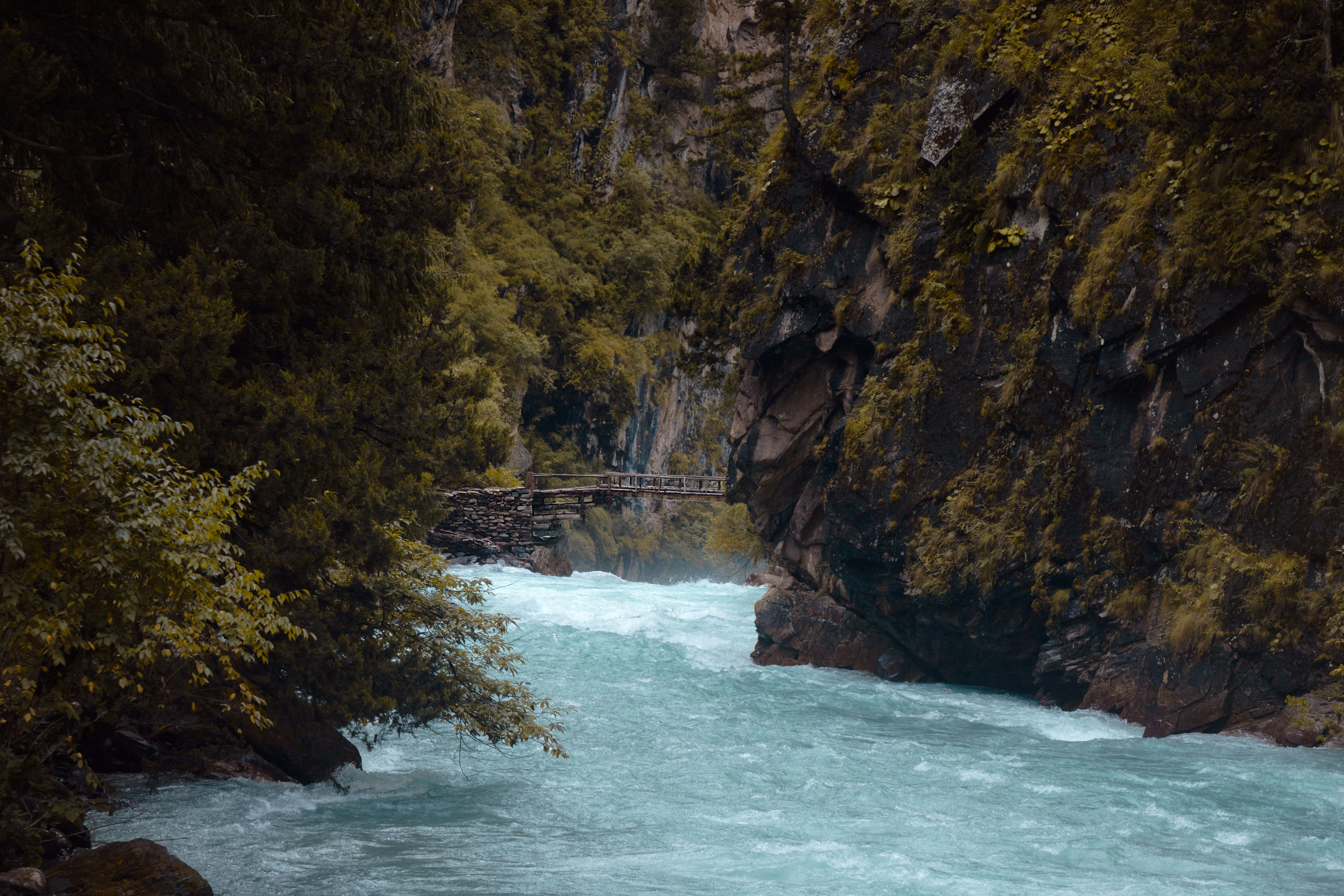 Photo by ashokjkshetri