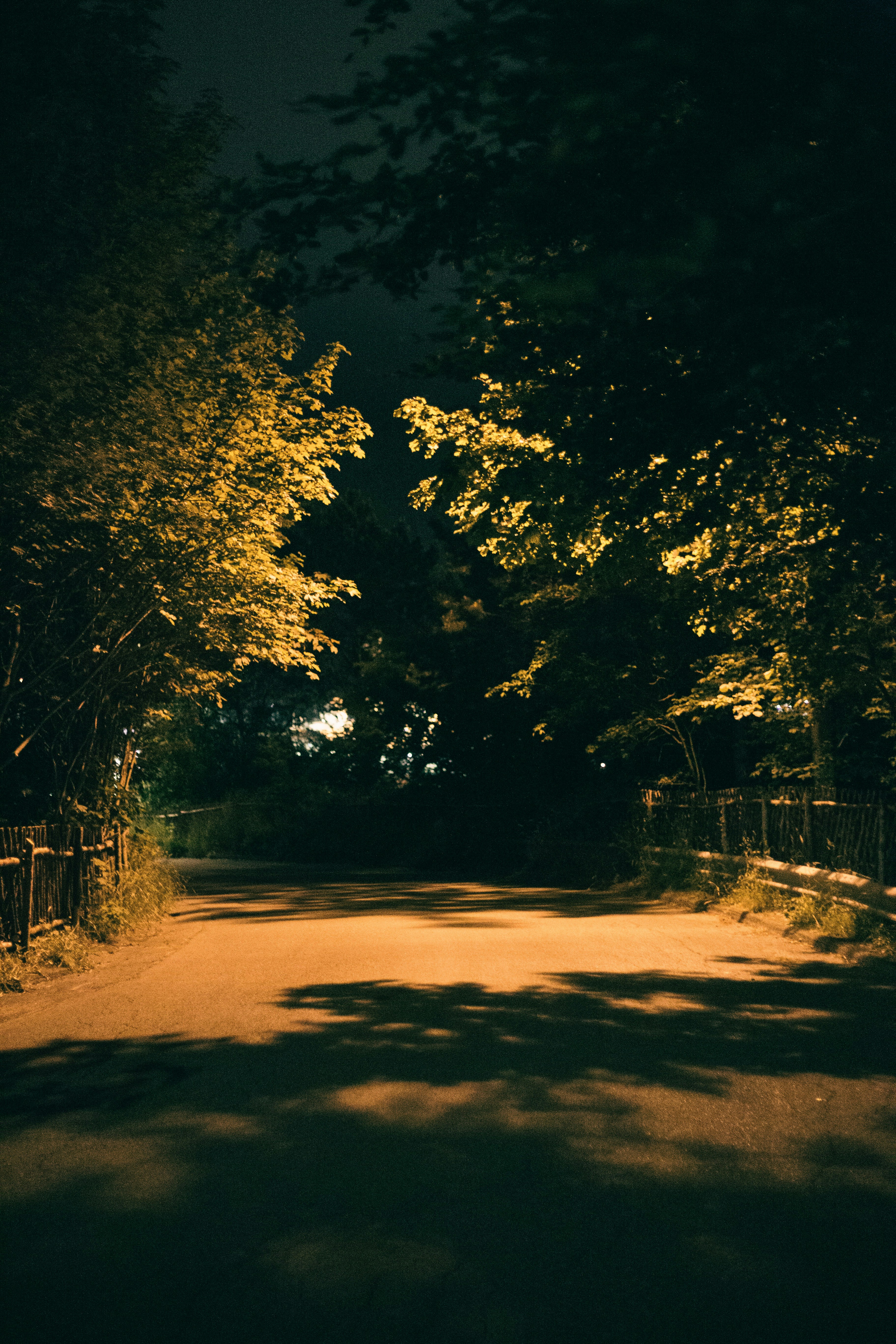 Photo by introspectivedsgn