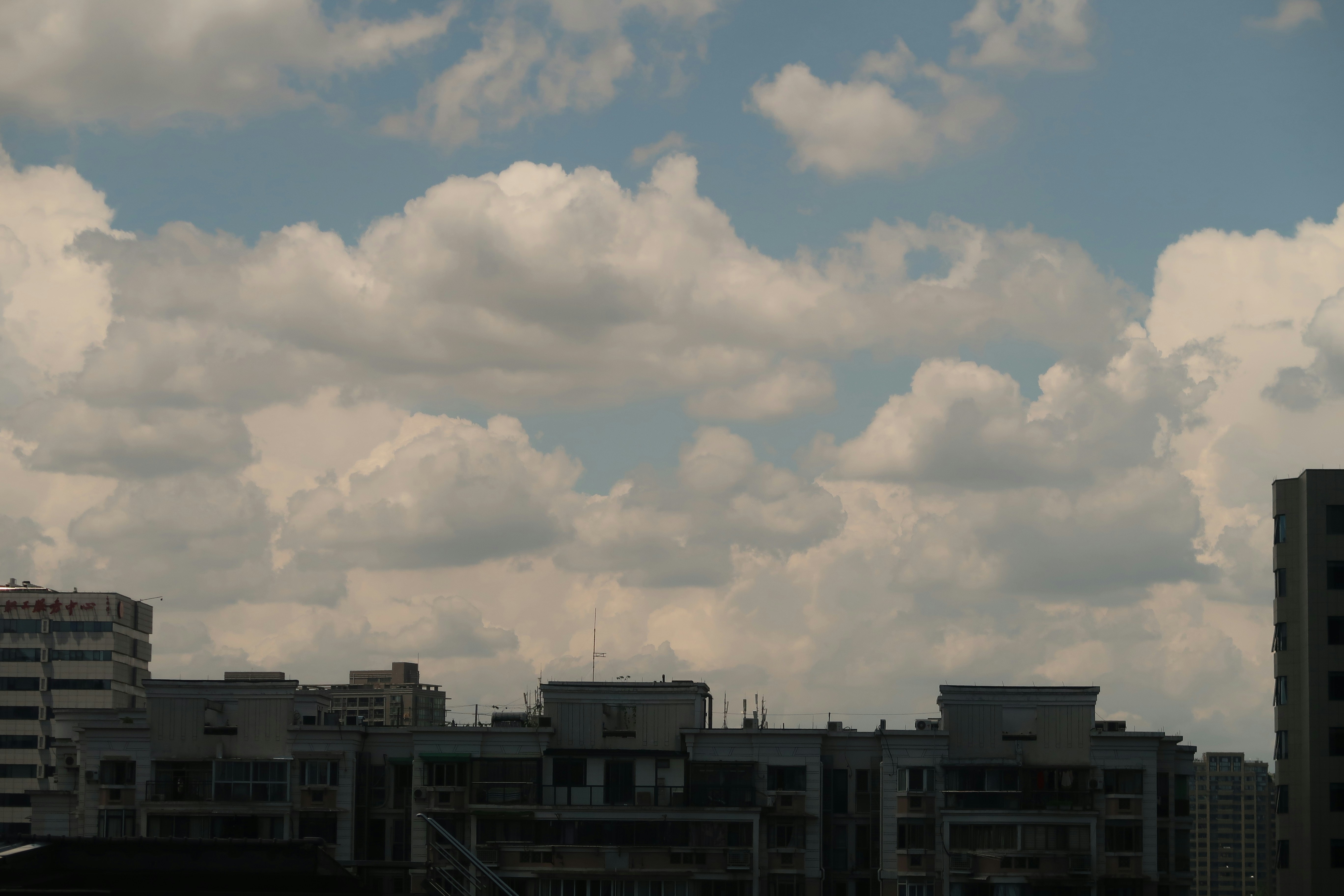 Photo by mallowe