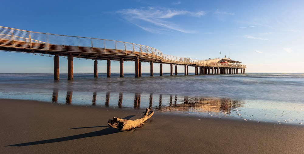 a crocodile on a beach with Paignton Pier in the background