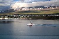 Most Aesthetic Cafes in Akureyri for Photos and Good Coffee