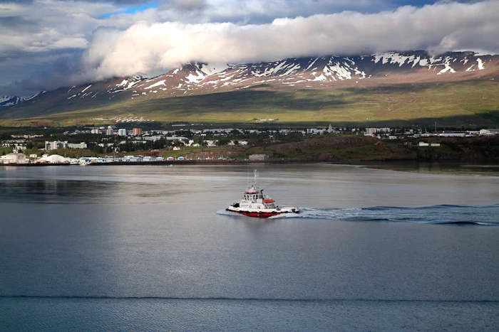 Most Aesthetic Cafes in Akureyri for Photos and Good Coffee