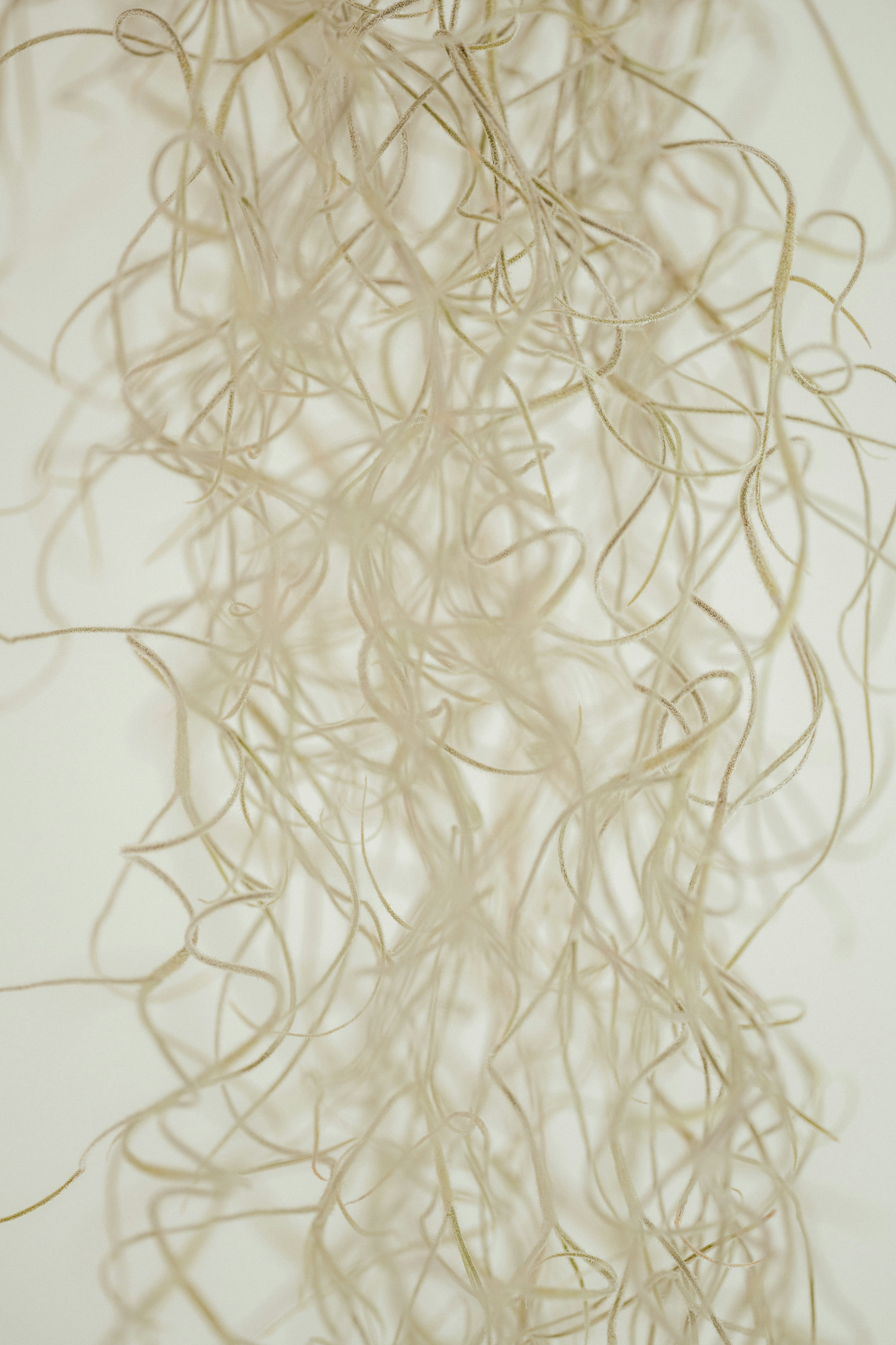 Photo by anniespratt