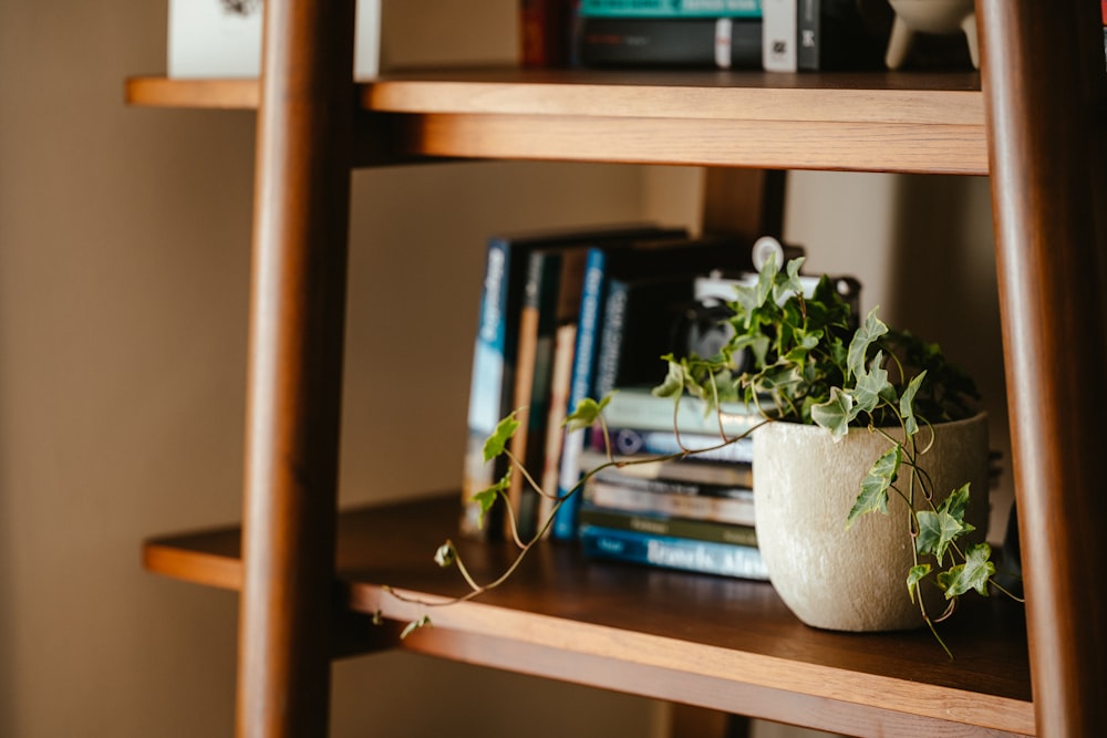 une étagère avec une plante et un pot de plantes dessus