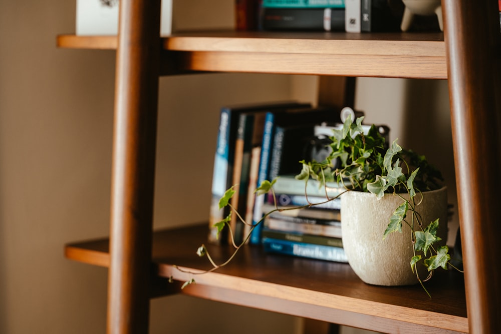 a shelf with a plant and a pot of plants on it