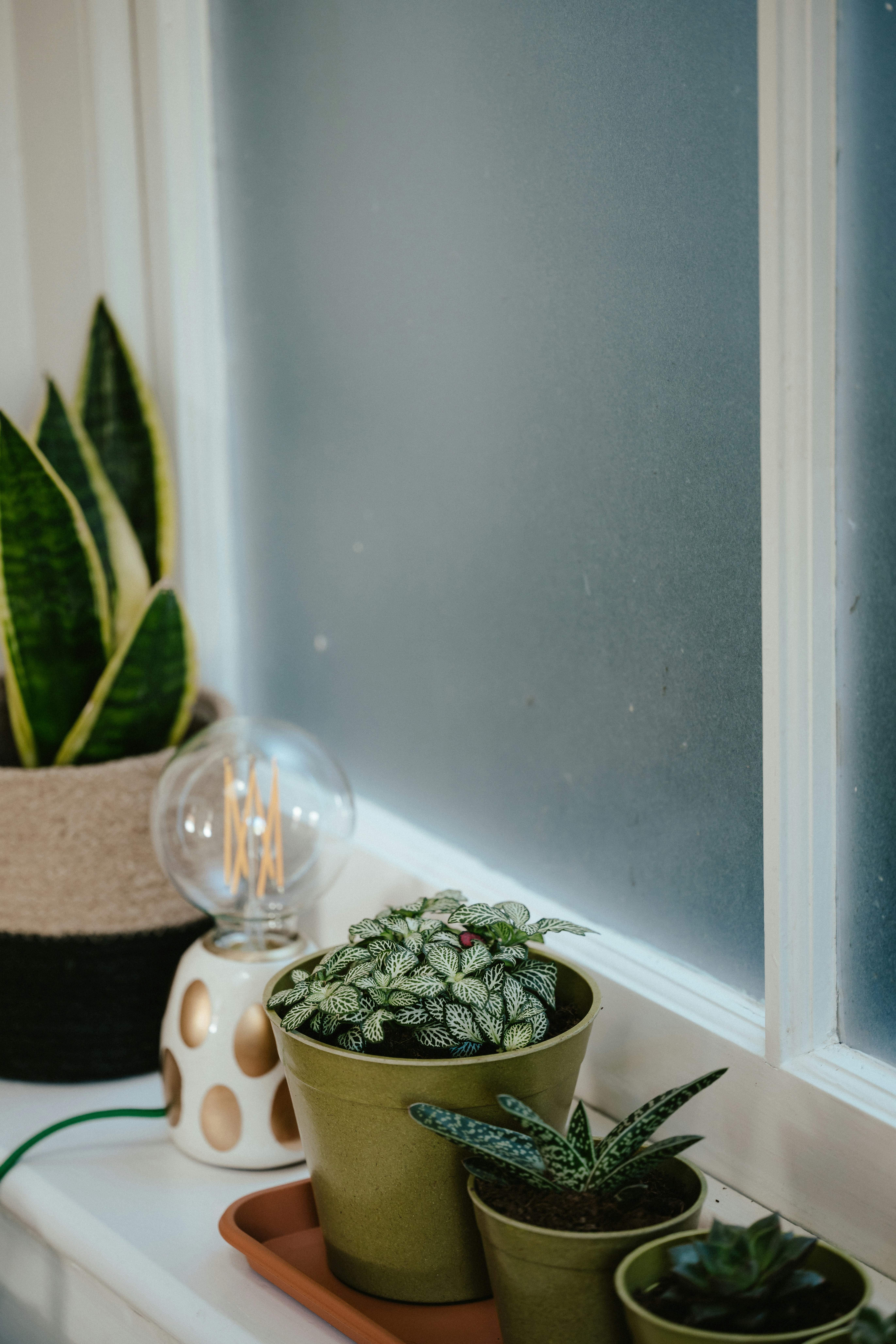 Photo by anniespratt